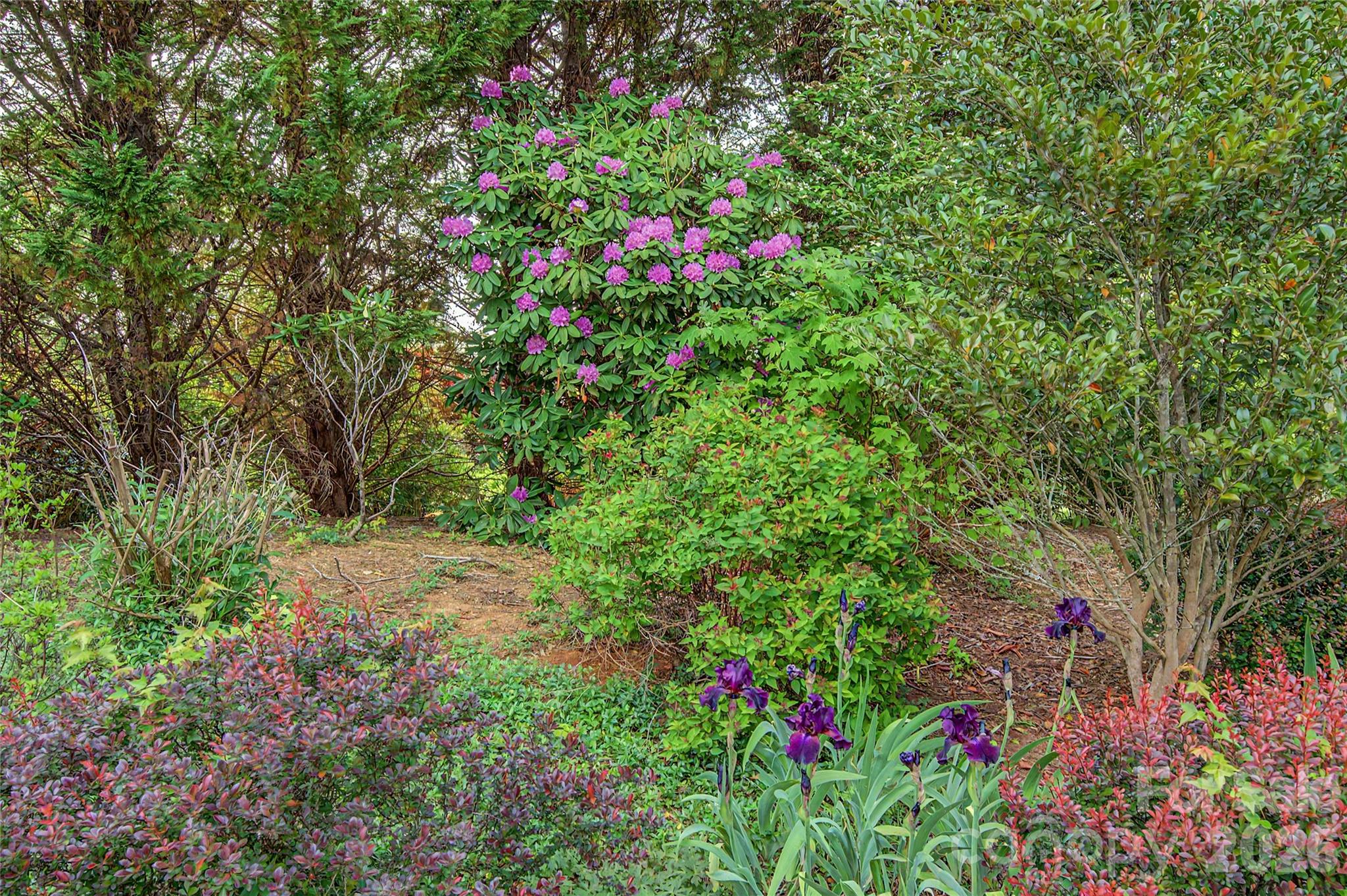 57 Talon Trail Lane — Etowah