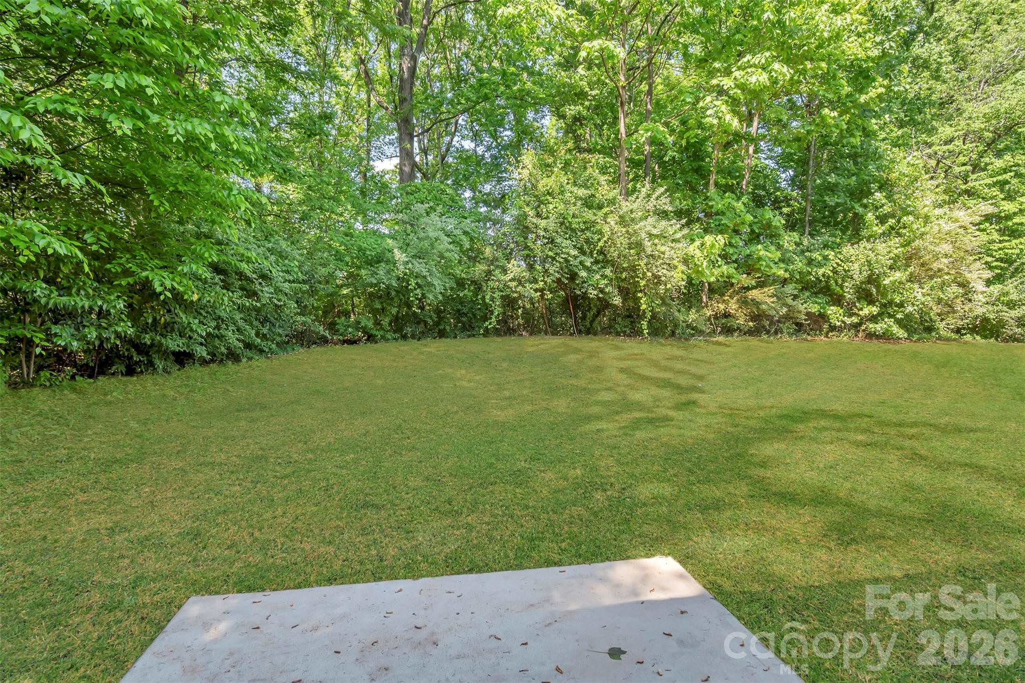 1314 Doby Springs Drive — Charlotte