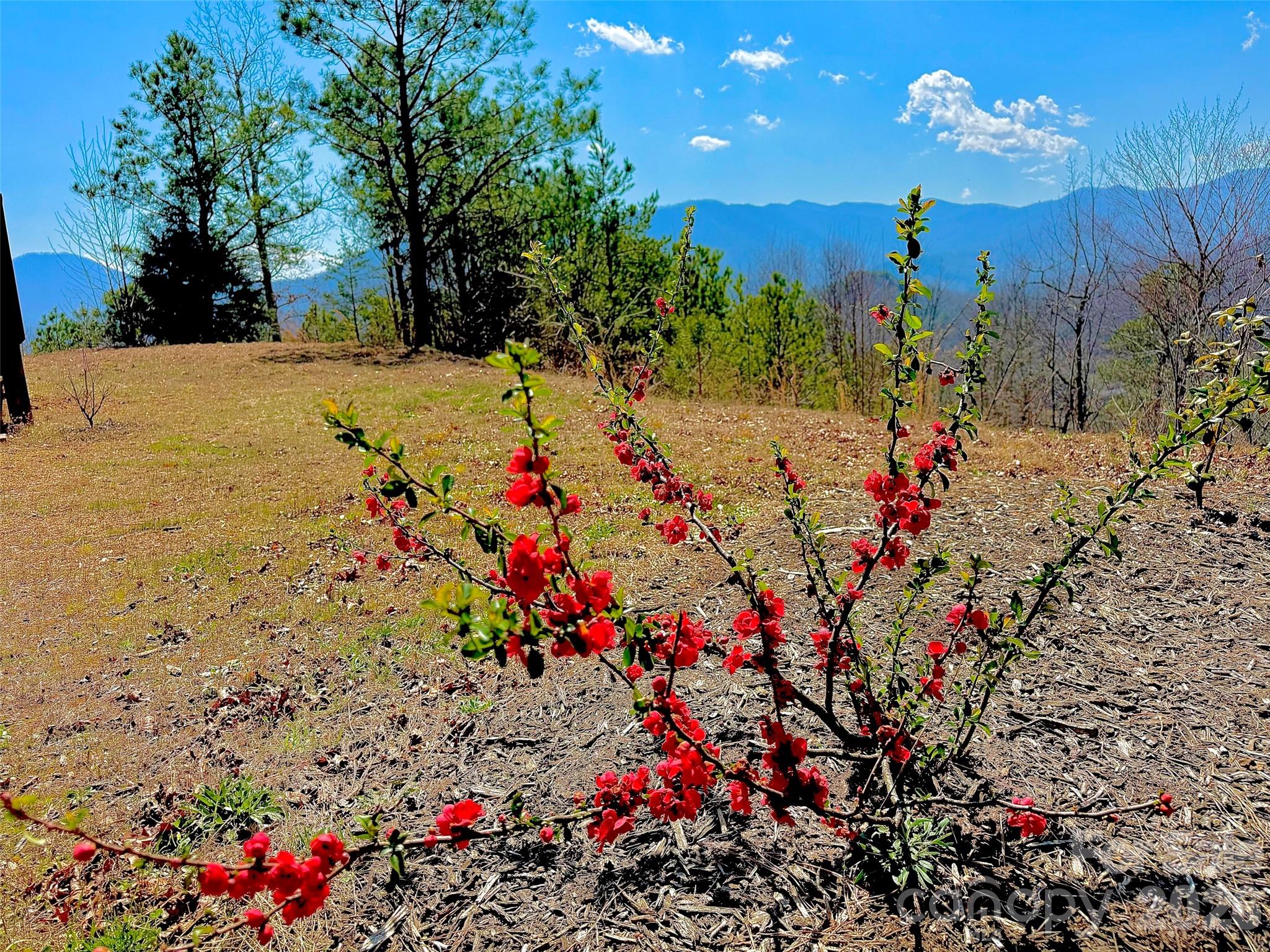521 Duchess Drive — Sylva