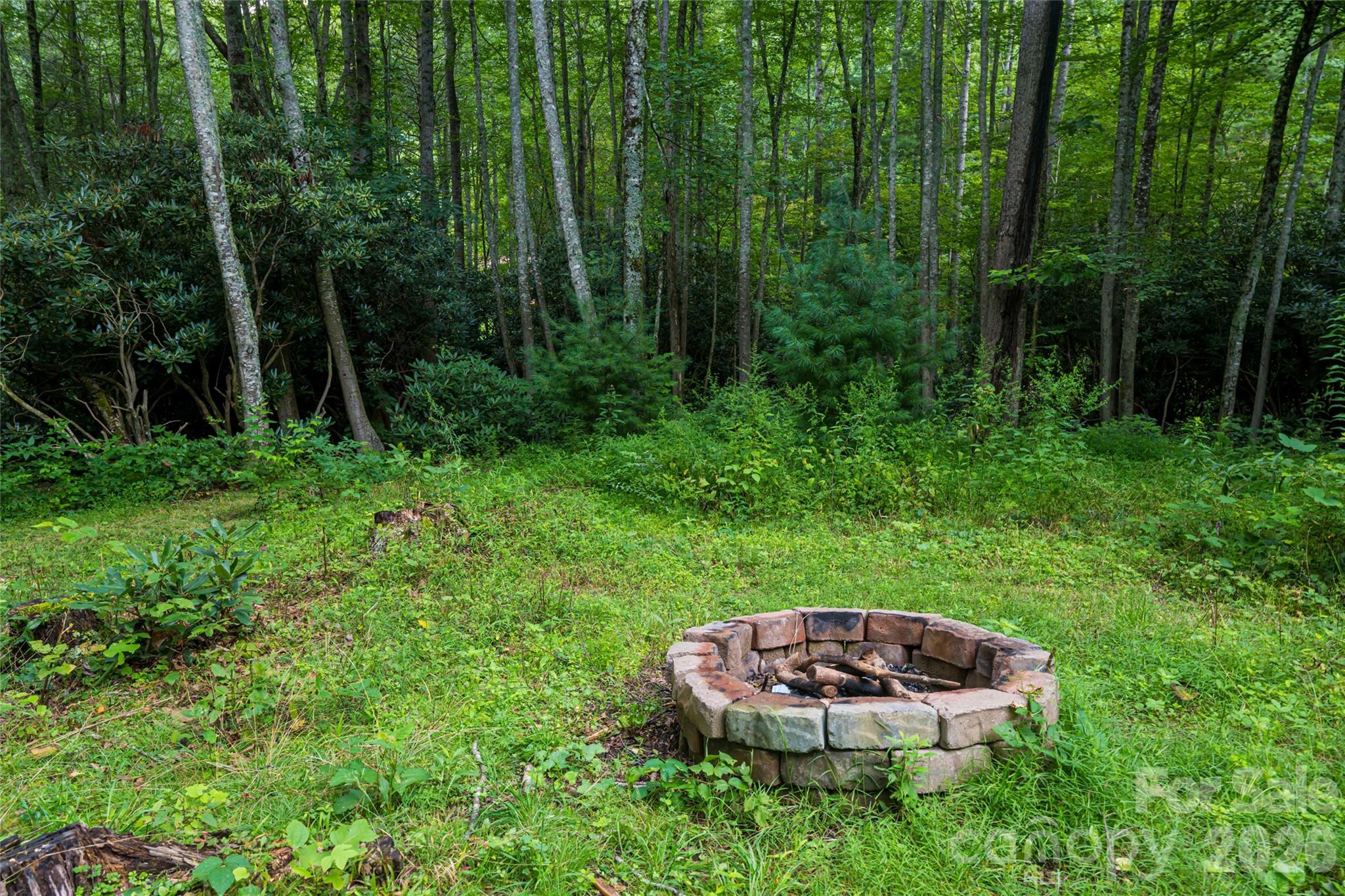 4035 Bald Creek Road — Clyde