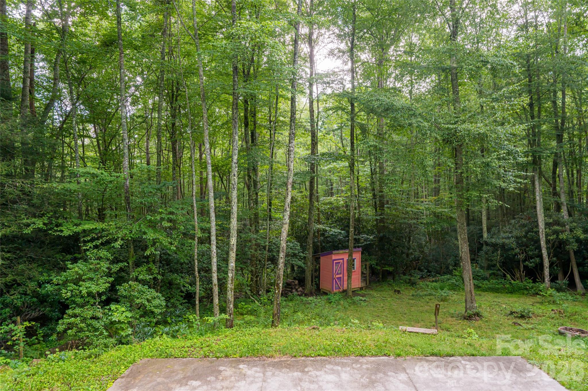 4035 Bald Creek Road — Clyde