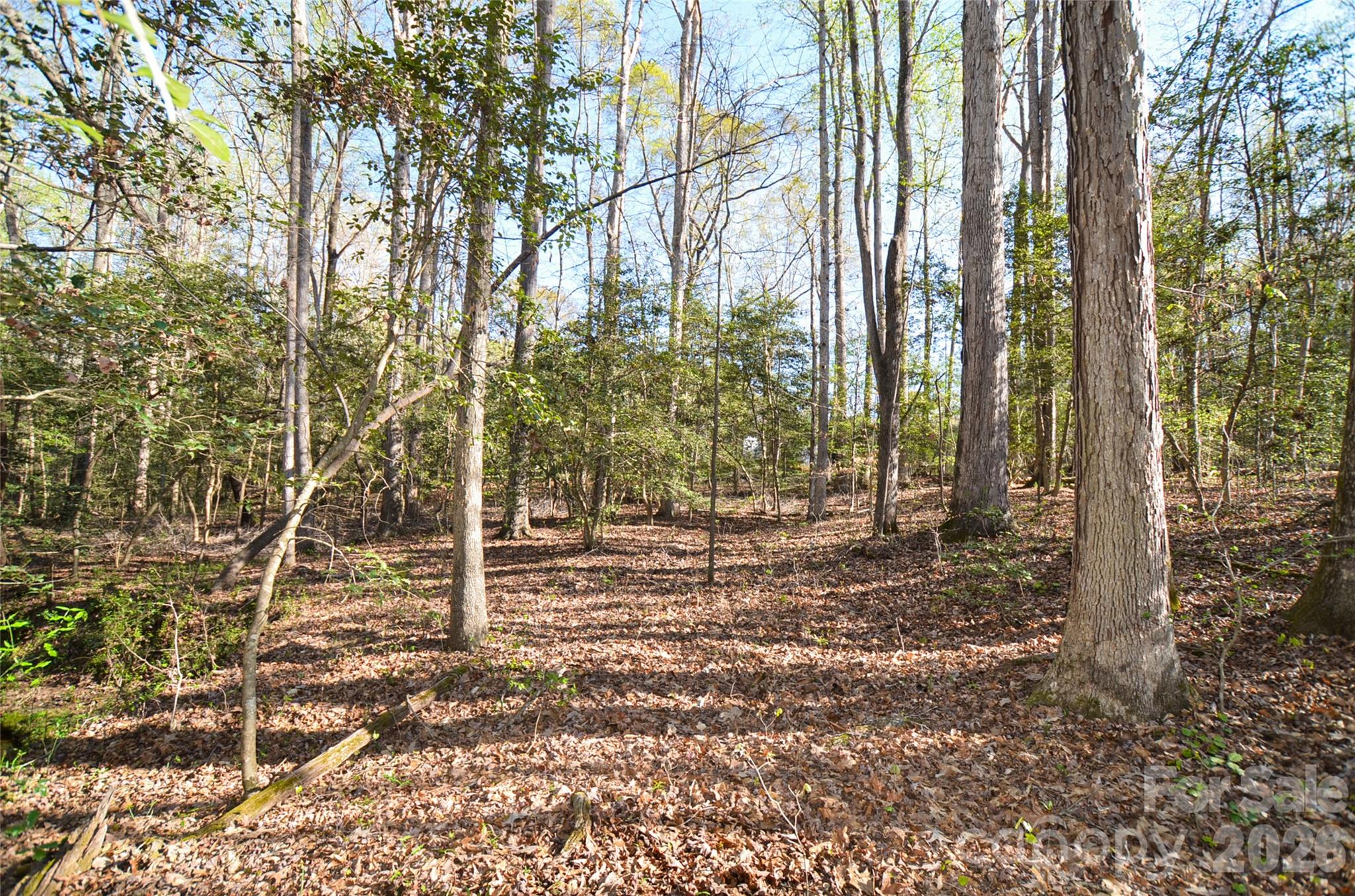 380 Montagu Drive — Spartanburg