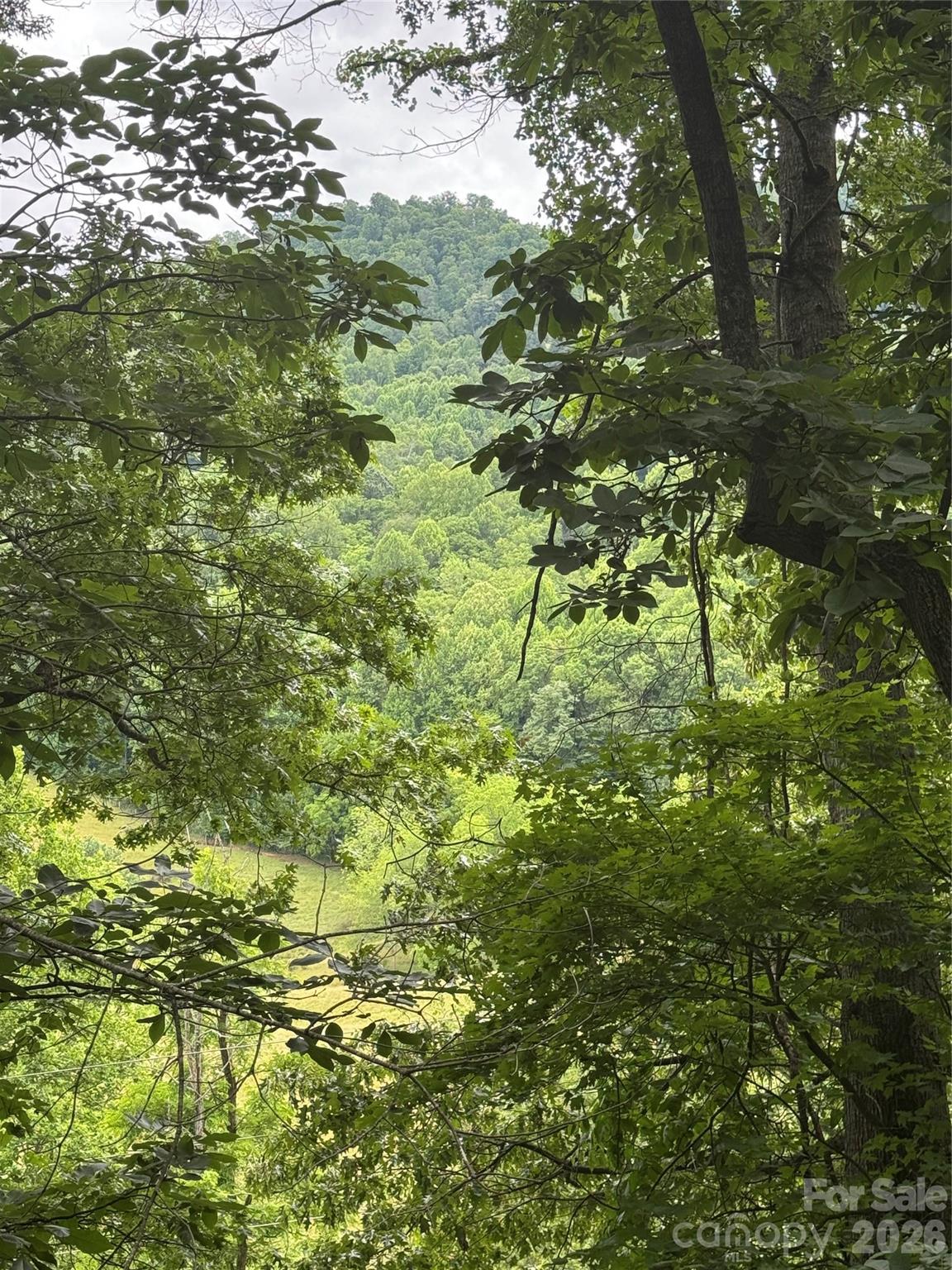 115 Knoll Ridge Lane — Waynesville