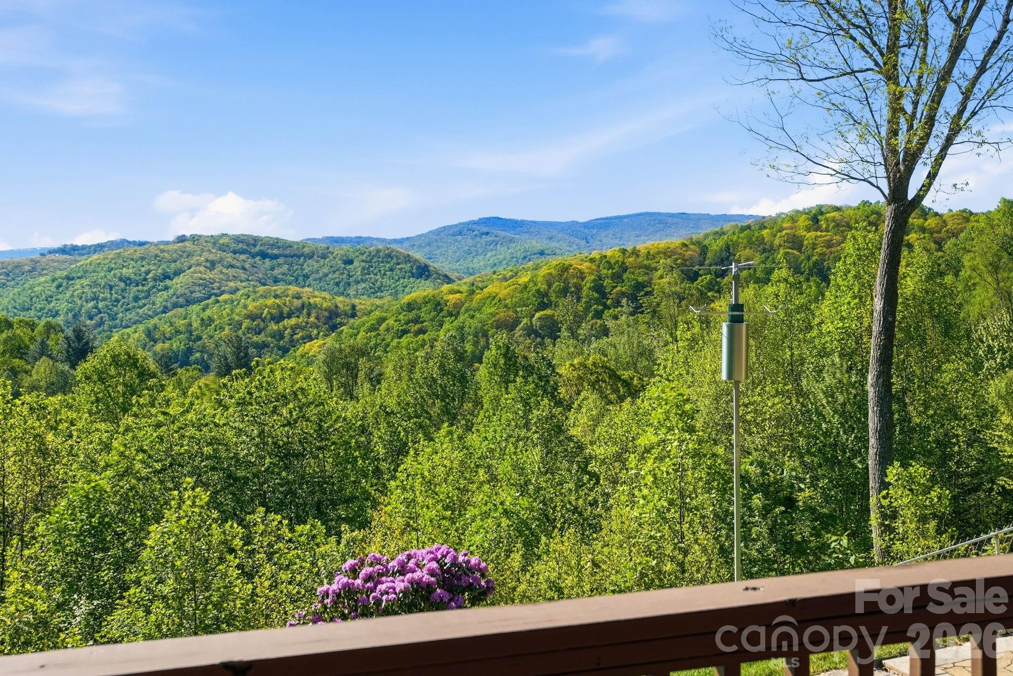 394 Hummingbird Lane — Elk Park