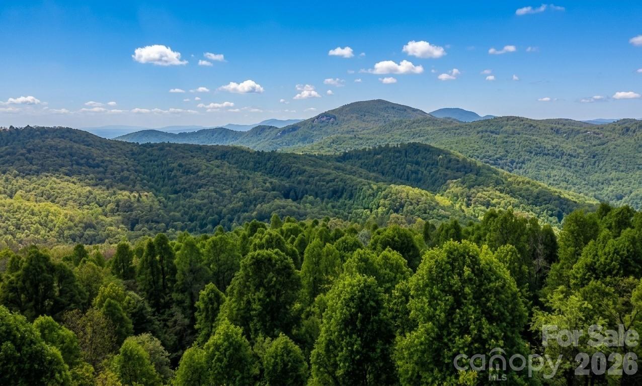 140 Elijah Hall Road — Black Mountain
