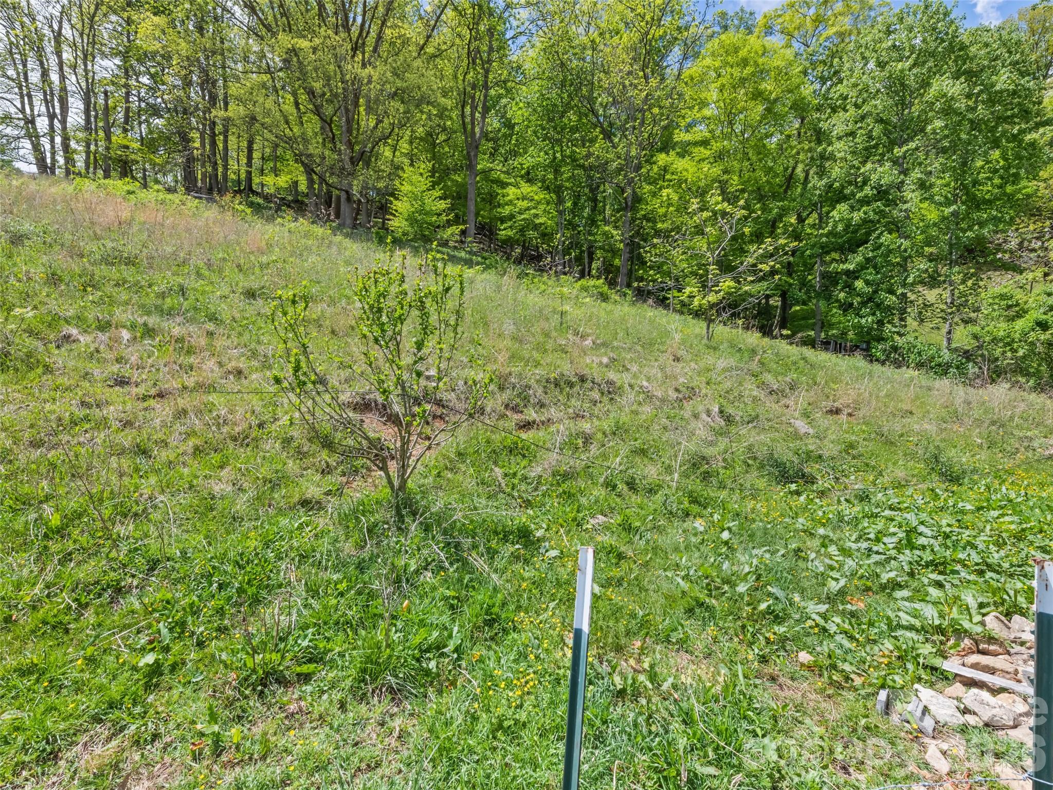 3607 Max Patch Road — Clyde