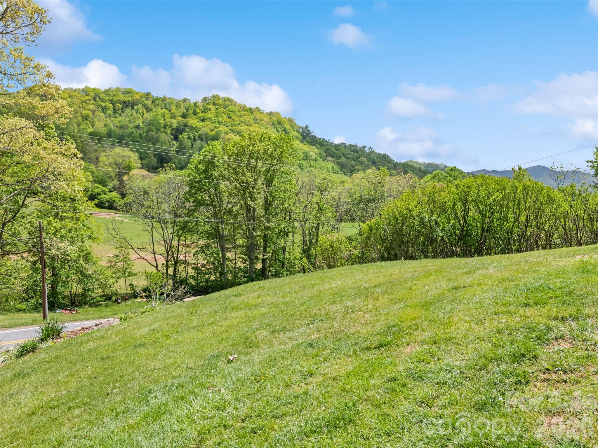 3607 Max Patch Road — Clyde
