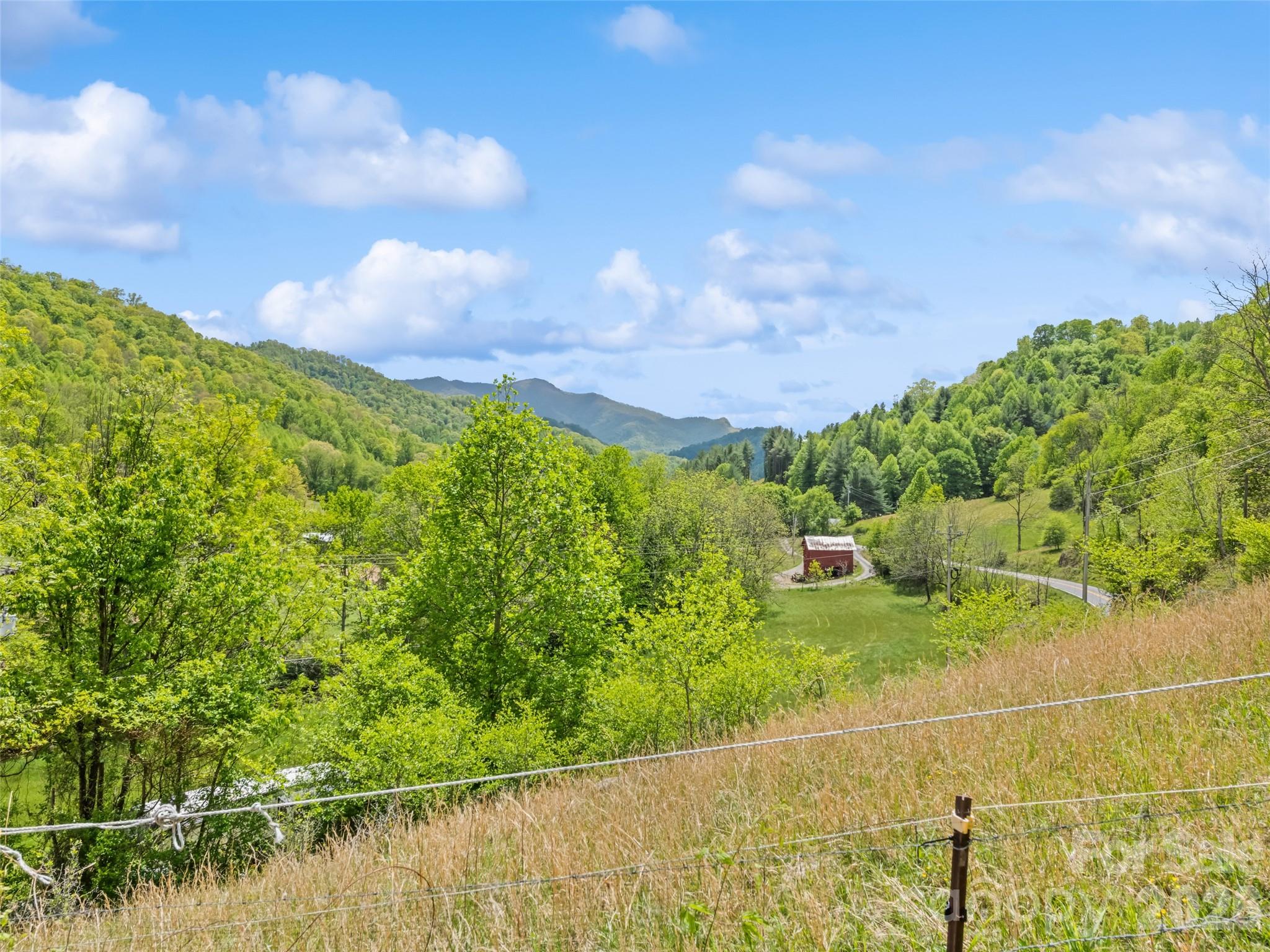 3607 Max Patch Road — Clyde
