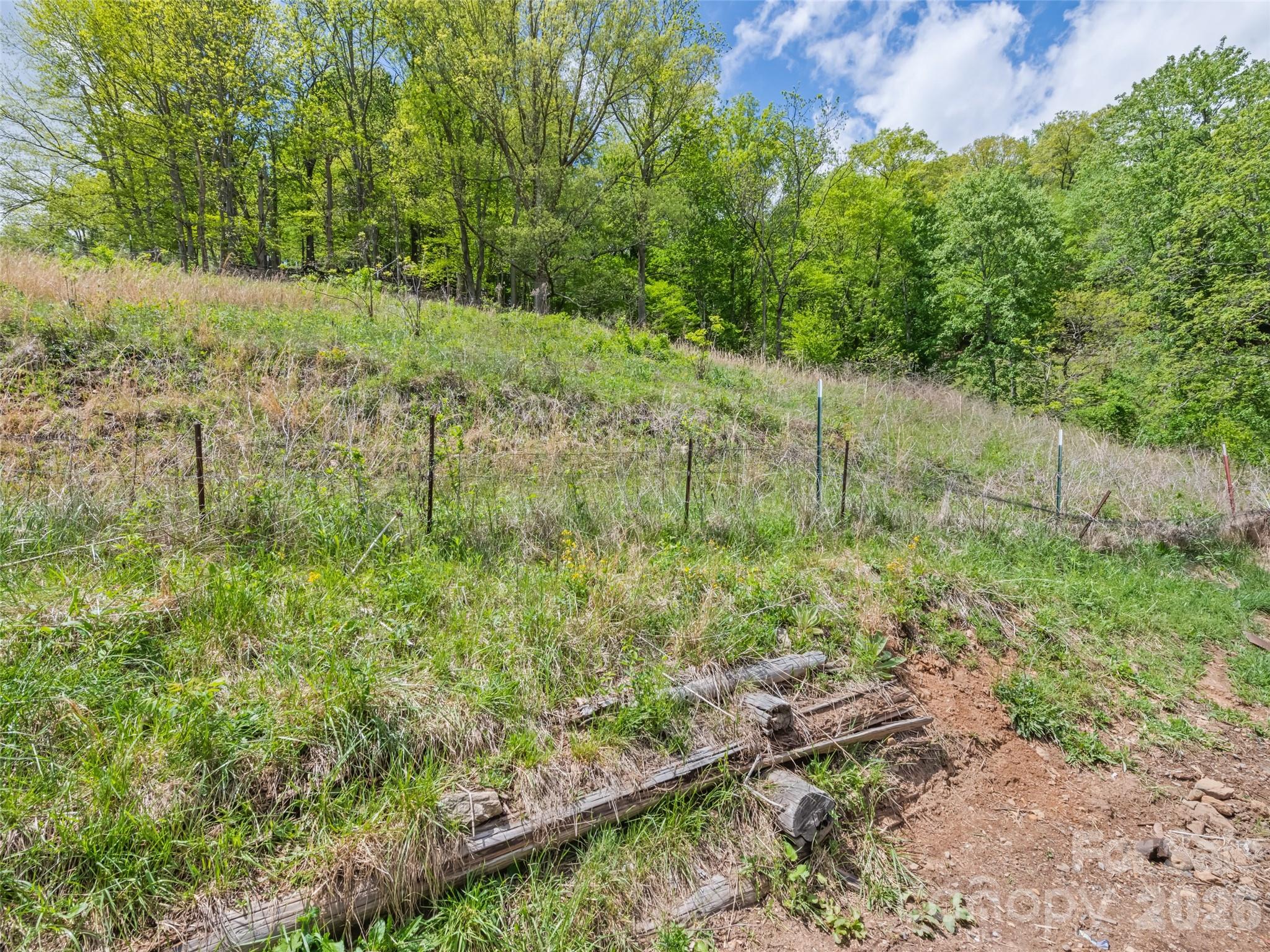 3607 Max Patch Road — Clyde