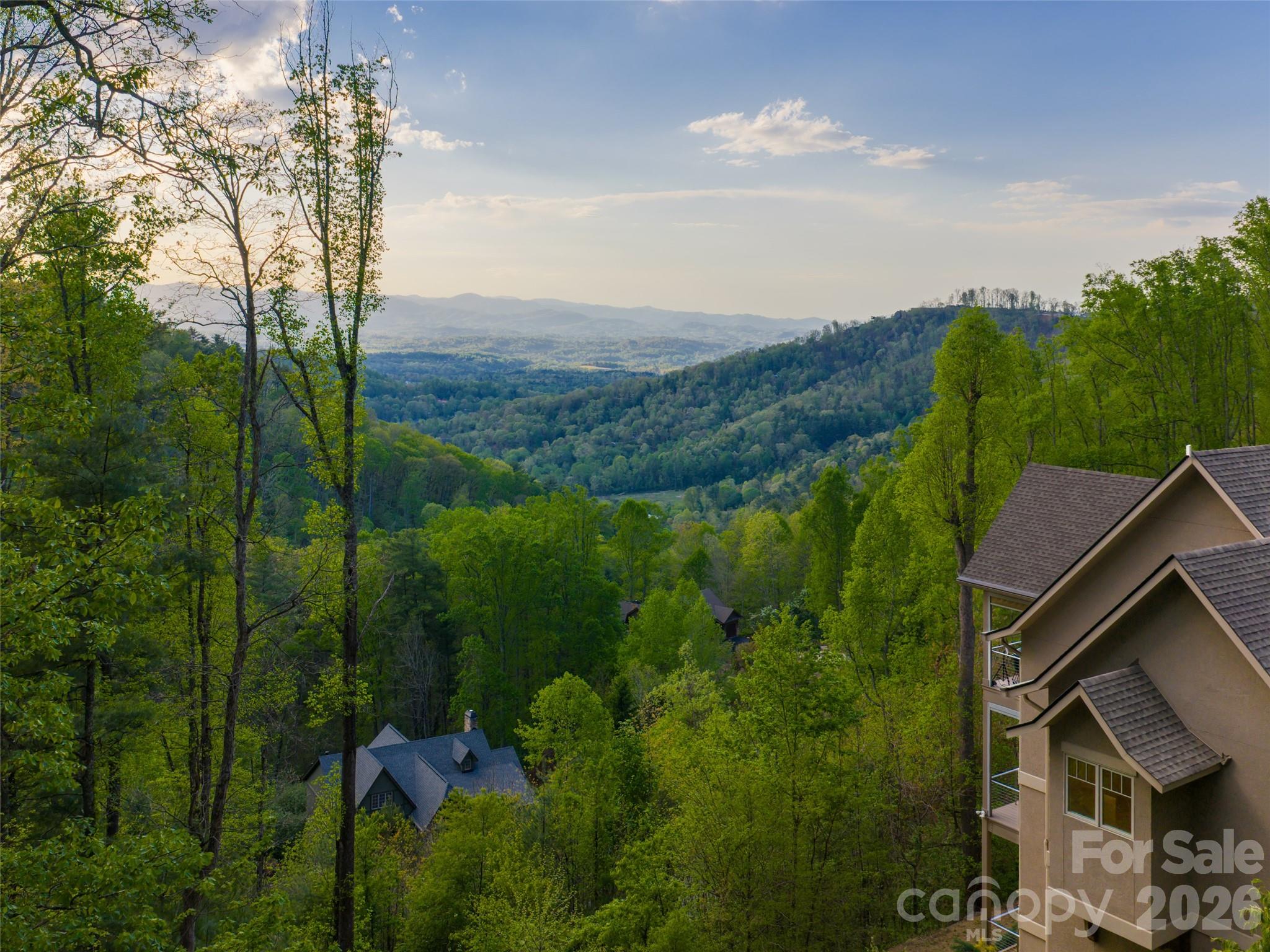 32 Timberwolf Court — Asheville