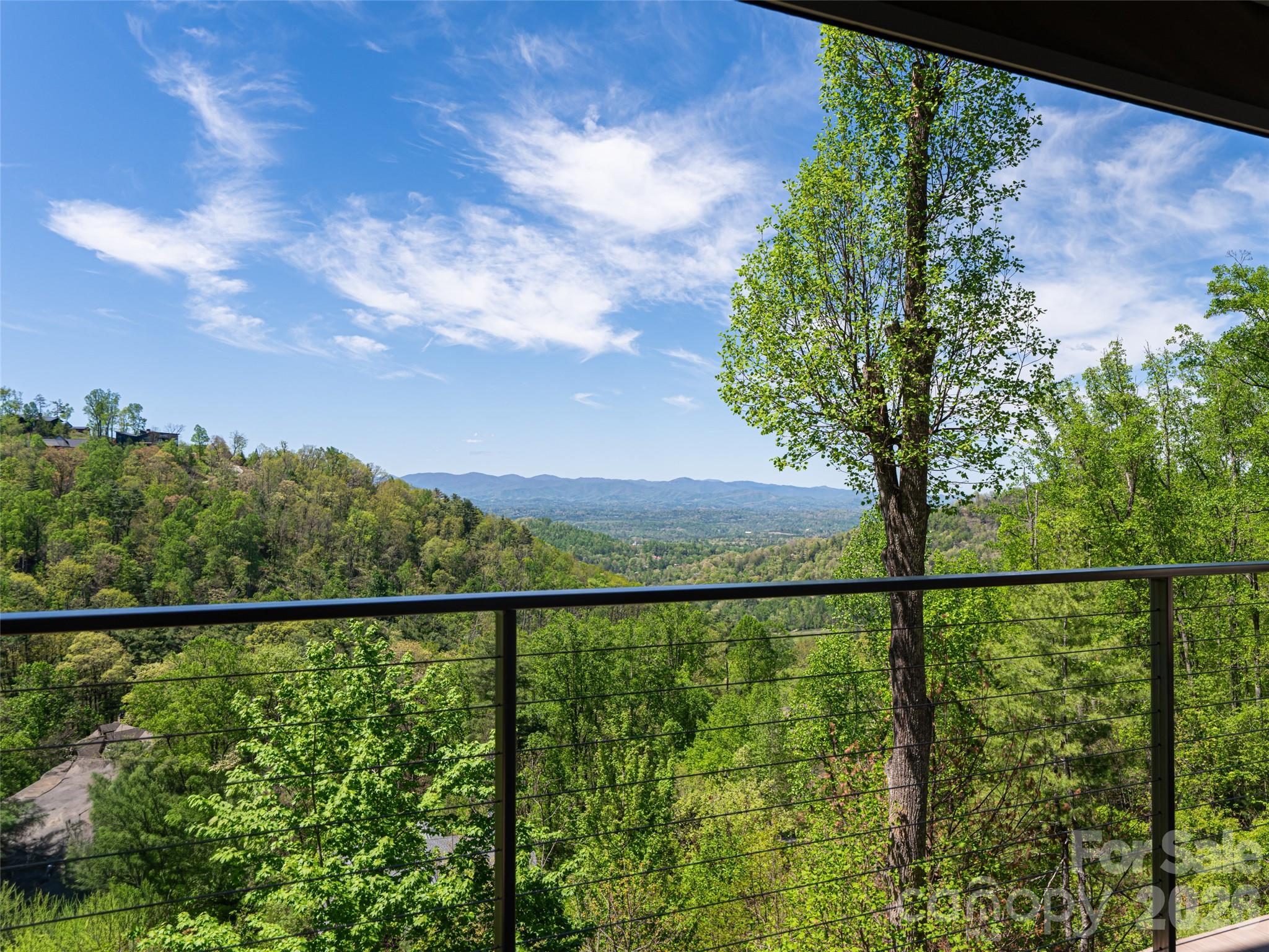 32 Timberwolf Court — Asheville