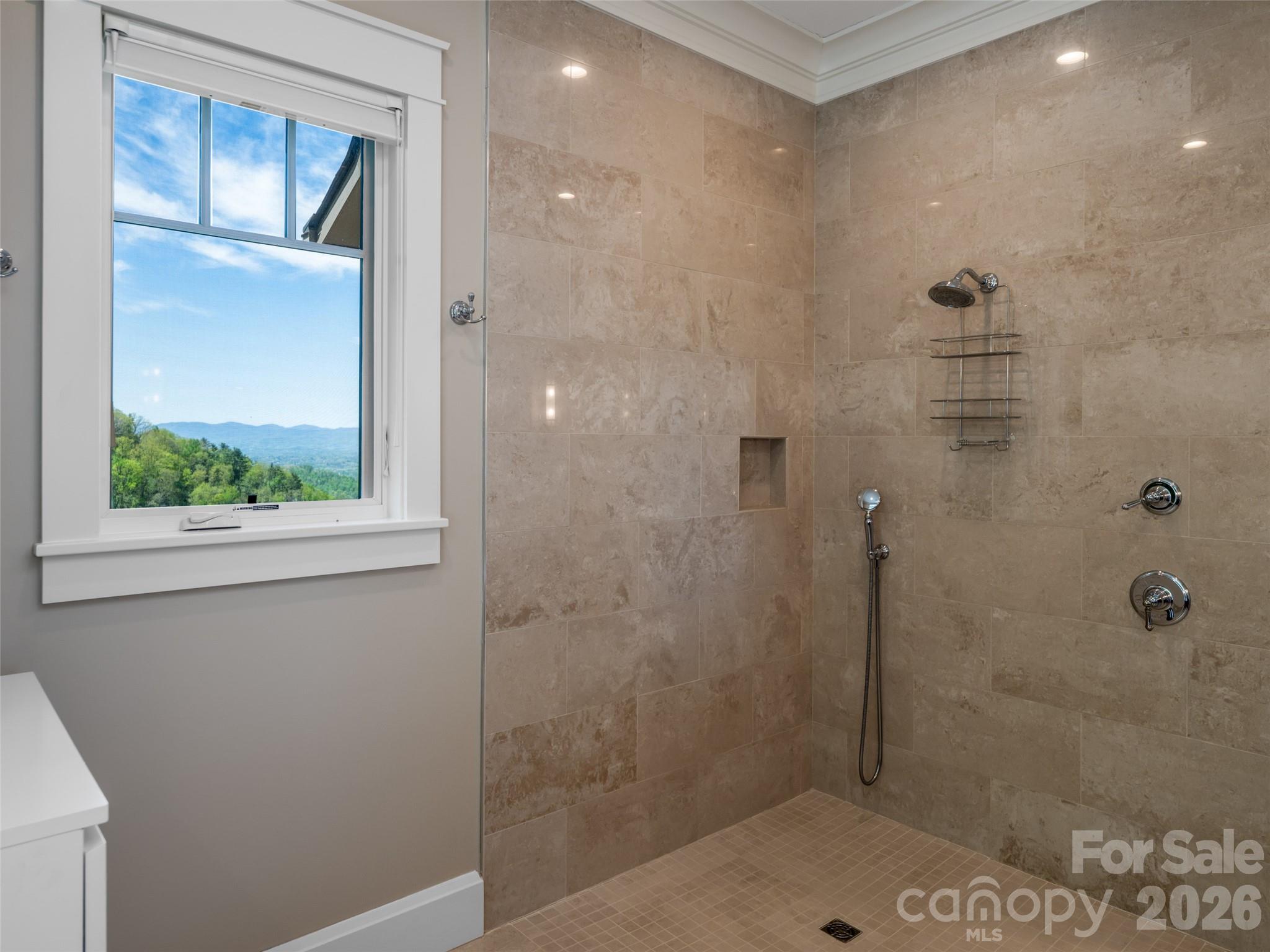 32 Timberwolf Court — Asheville