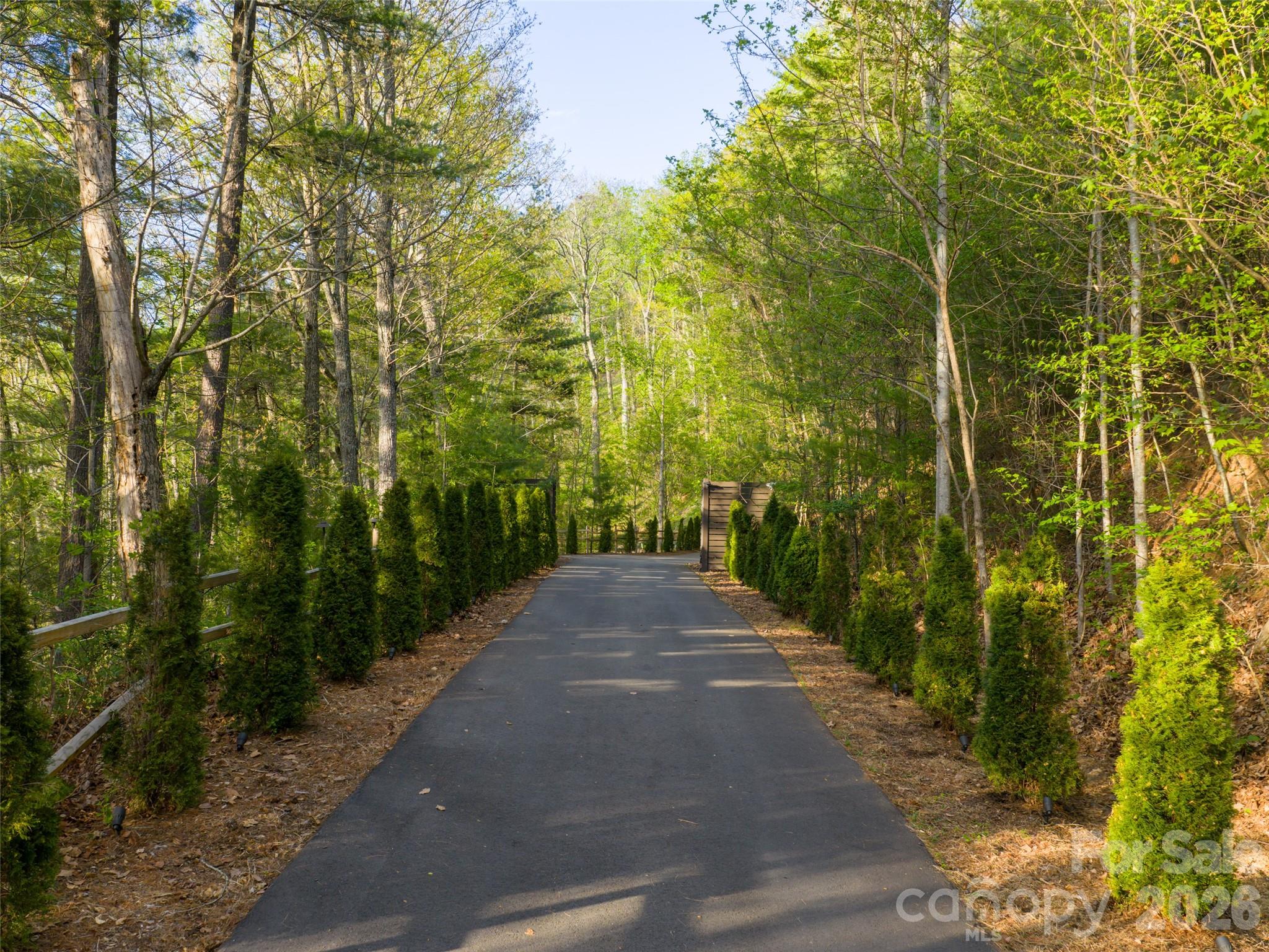32 Timberwolf Court — Asheville