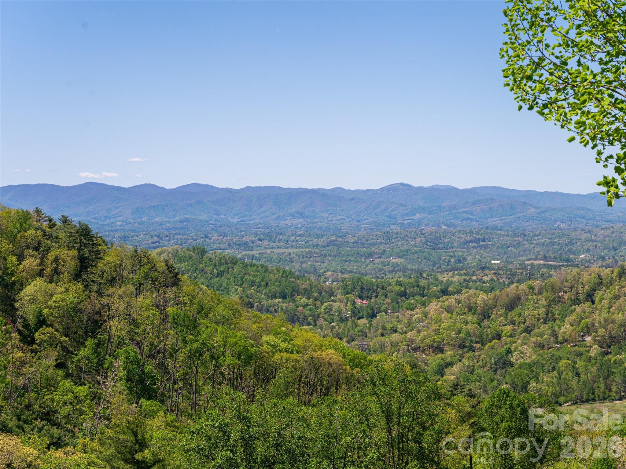 32 Timberwolf Court — Asheville