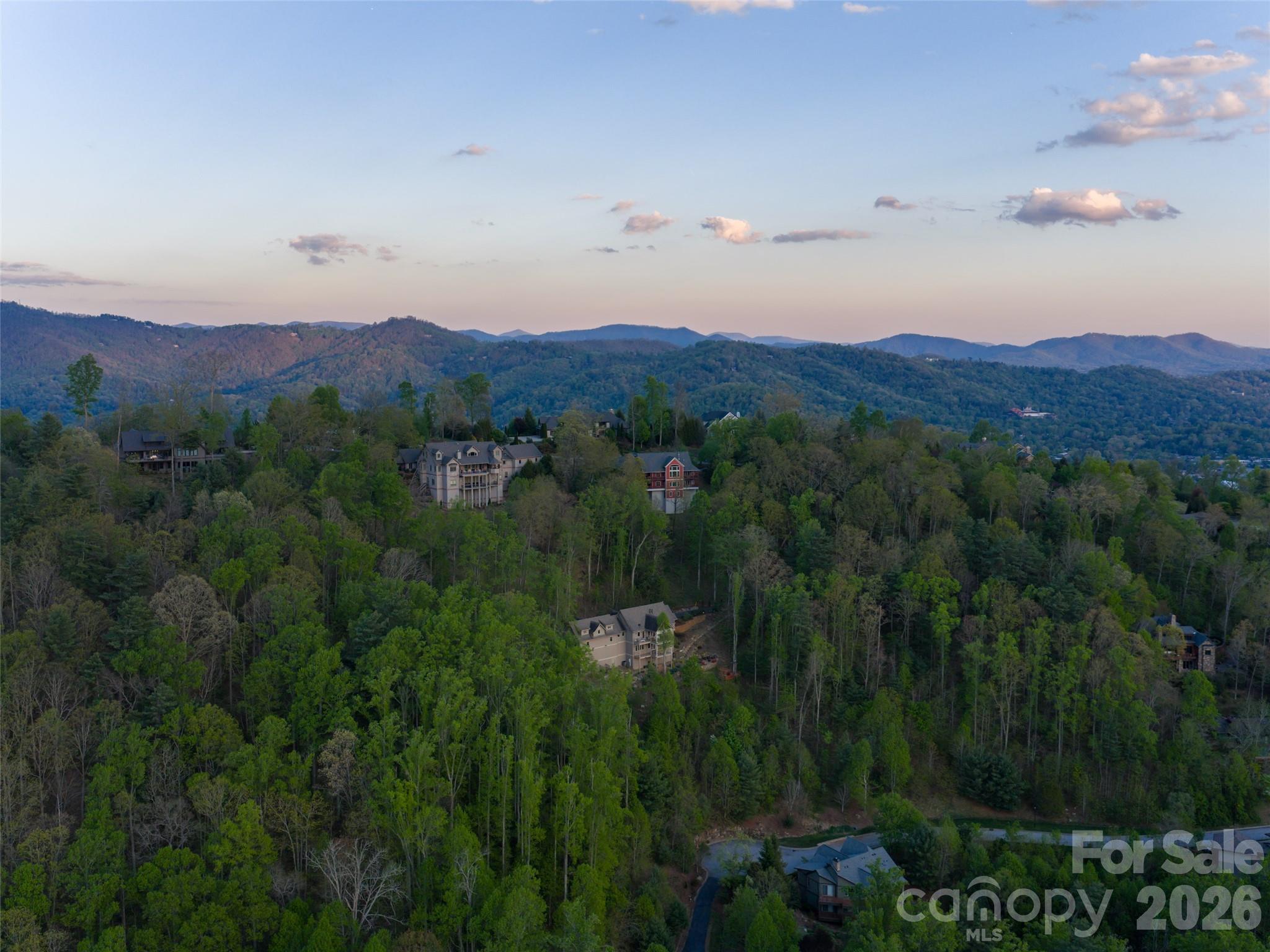 32 Timberwolf Court — Asheville