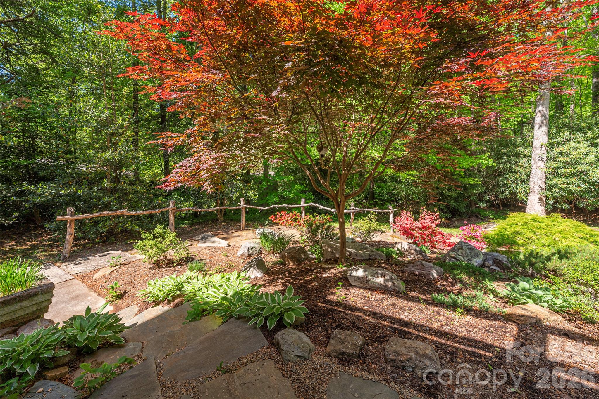 5 Crooked Tree Lane — Black Mountain