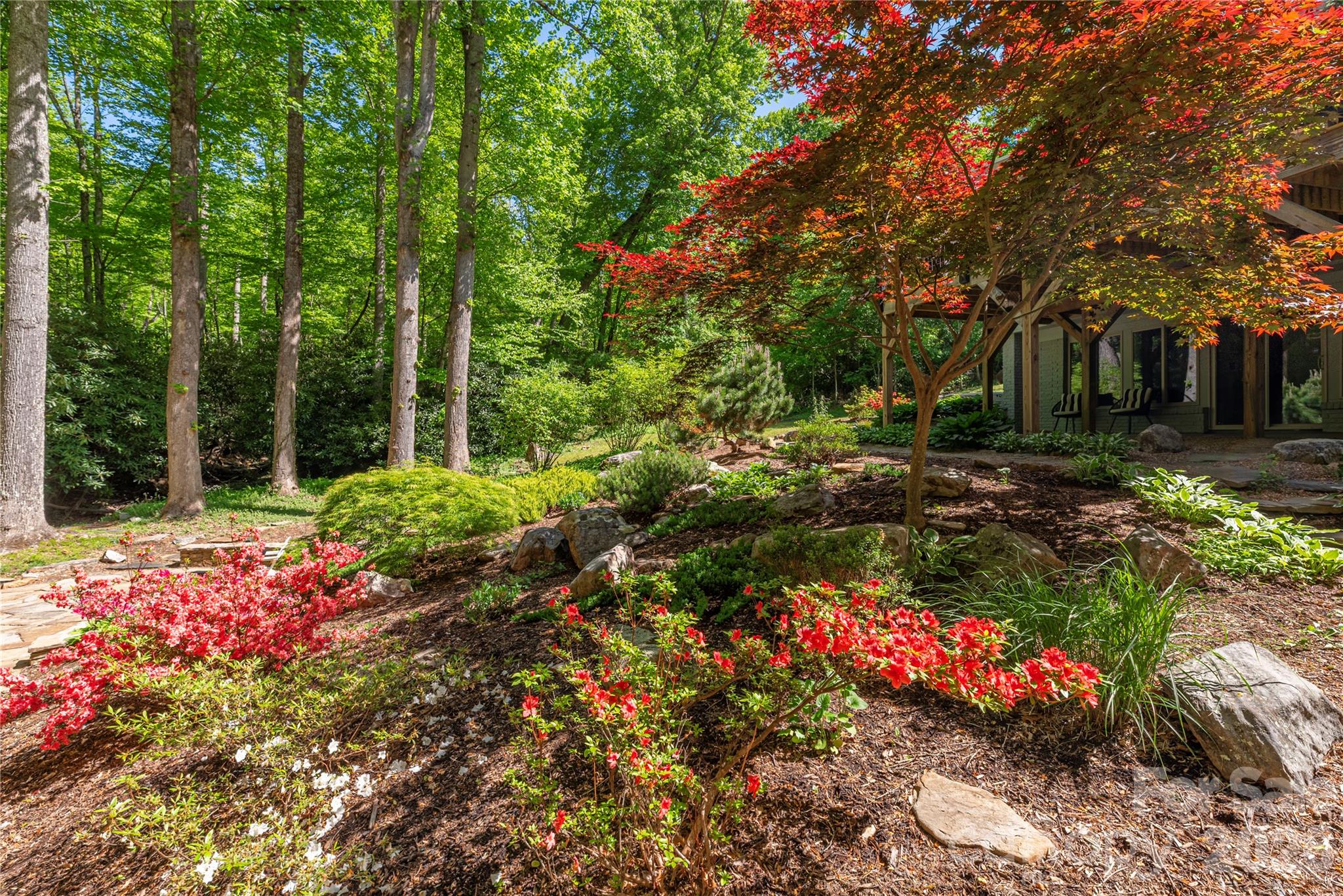 5 Crooked Tree Lane — Black Mountain
