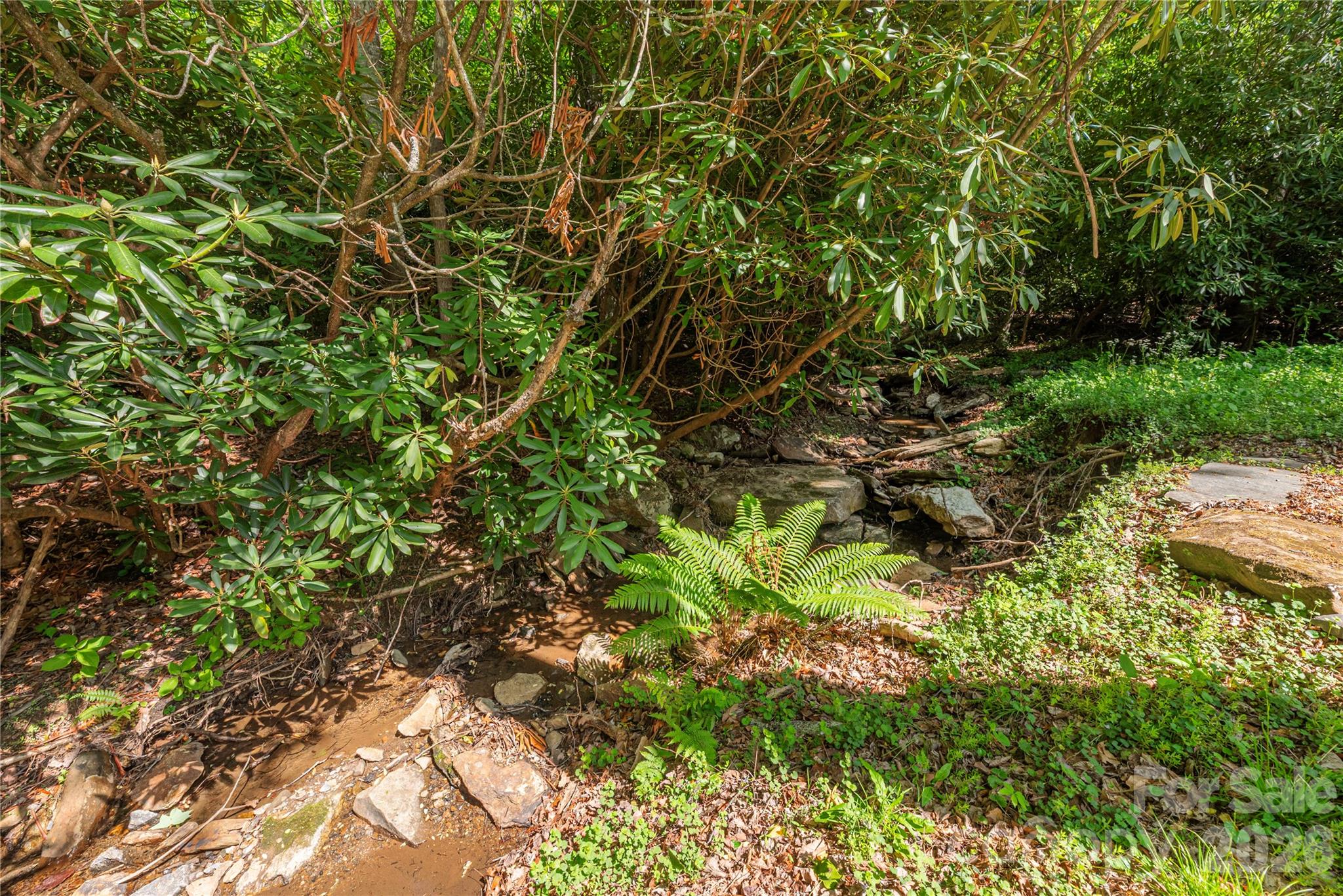 5 Crooked Tree Lane — Black Mountain