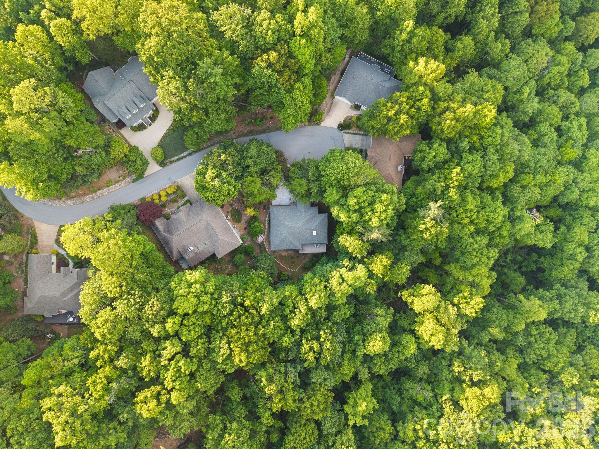2508 Carriage Falls Court — Hendersonville