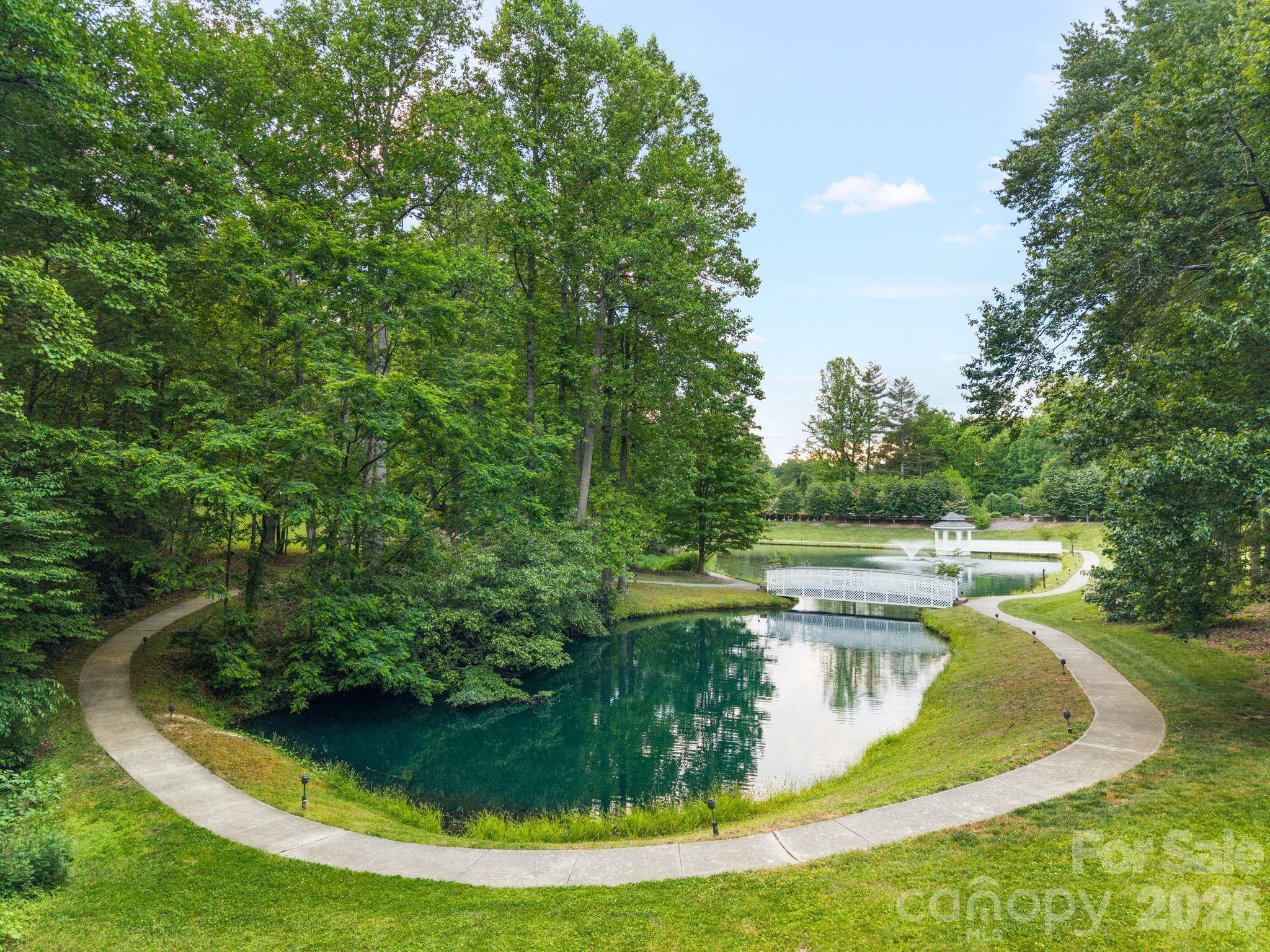 2508 Carriage Falls Court — Hendersonville