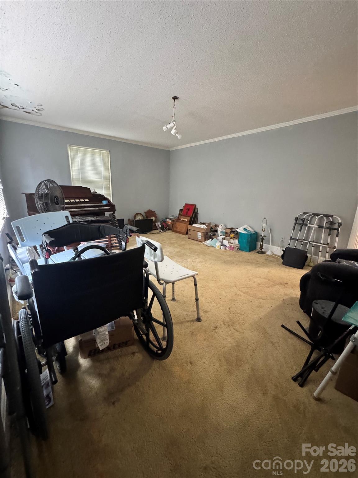 316 Meadow Creek Church Road — Locust