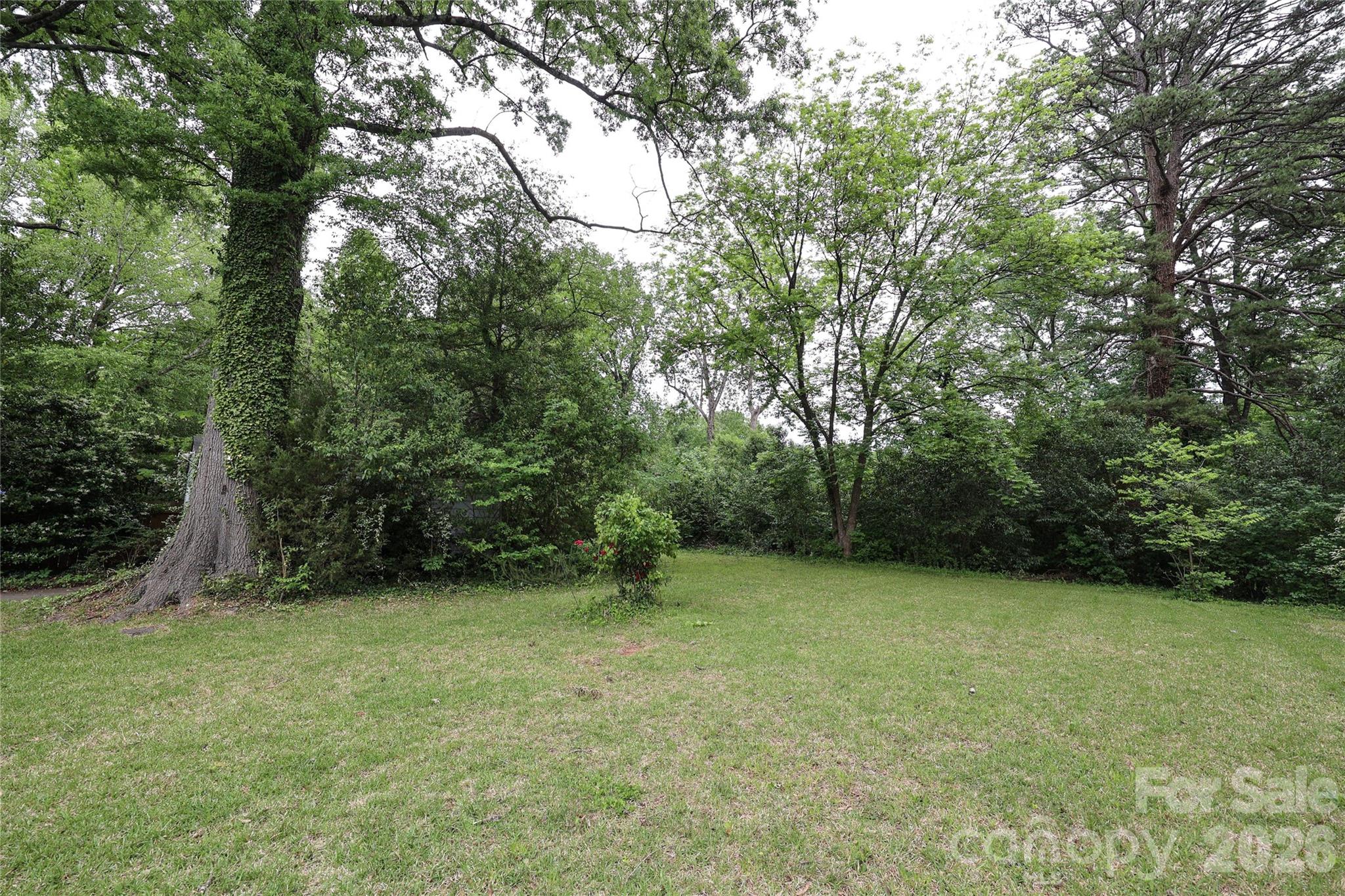 1456 Briar Creek Road — Charlotte