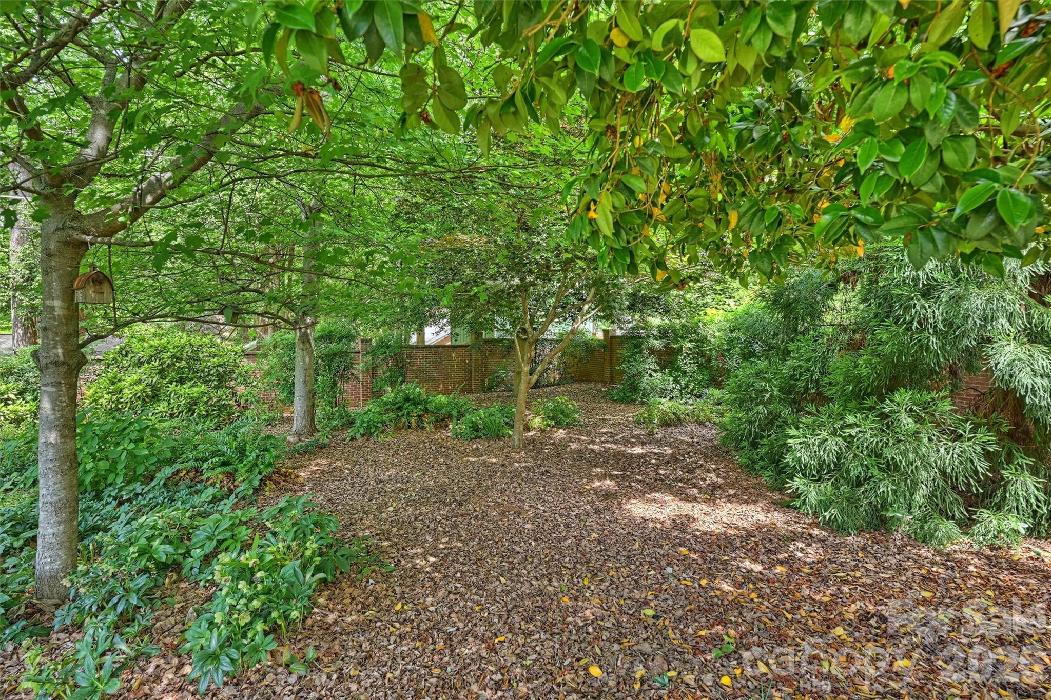 900 Greentree Drive — Charlotte