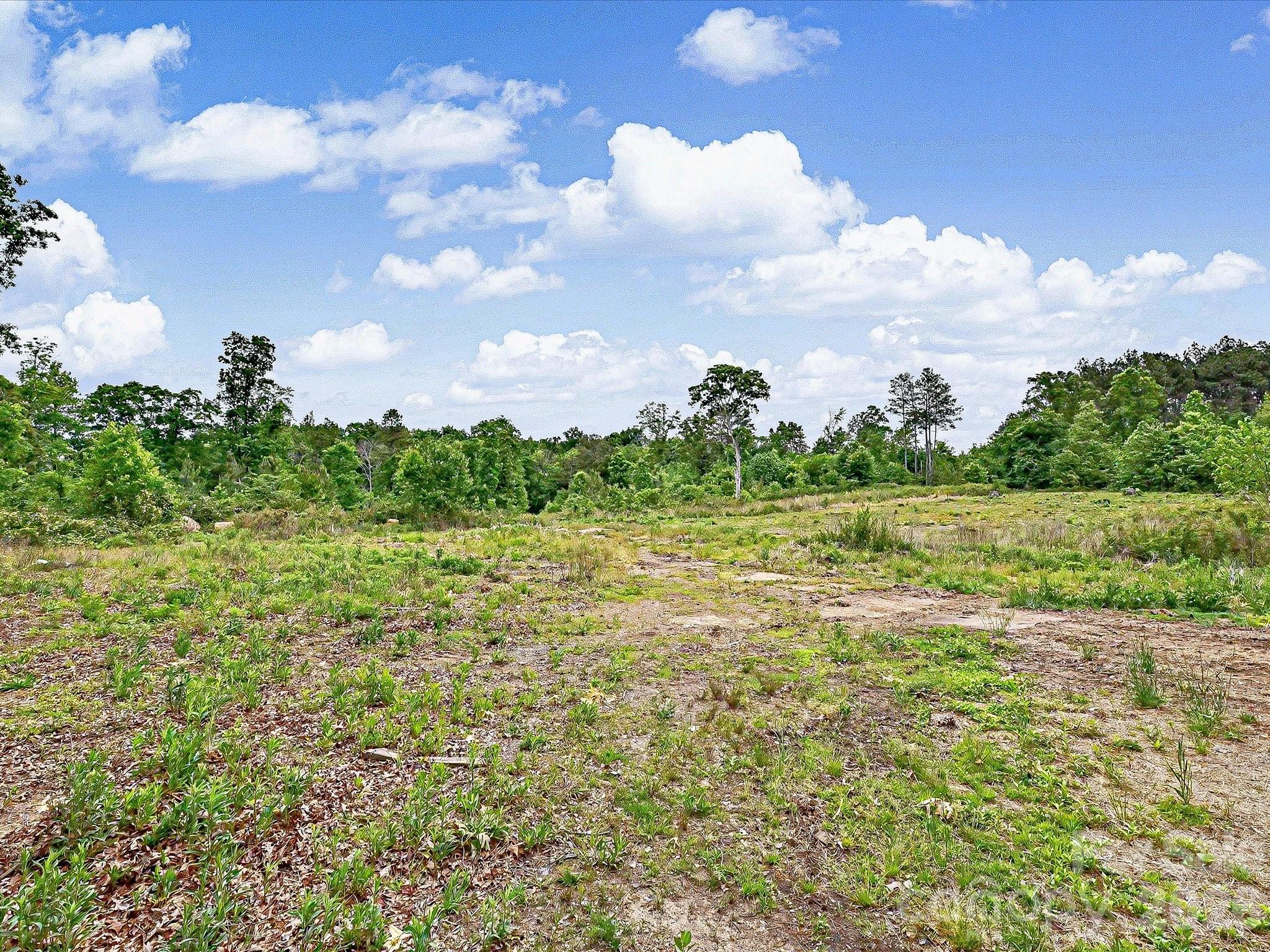 1123 S Forest Hills School Road — Marshville