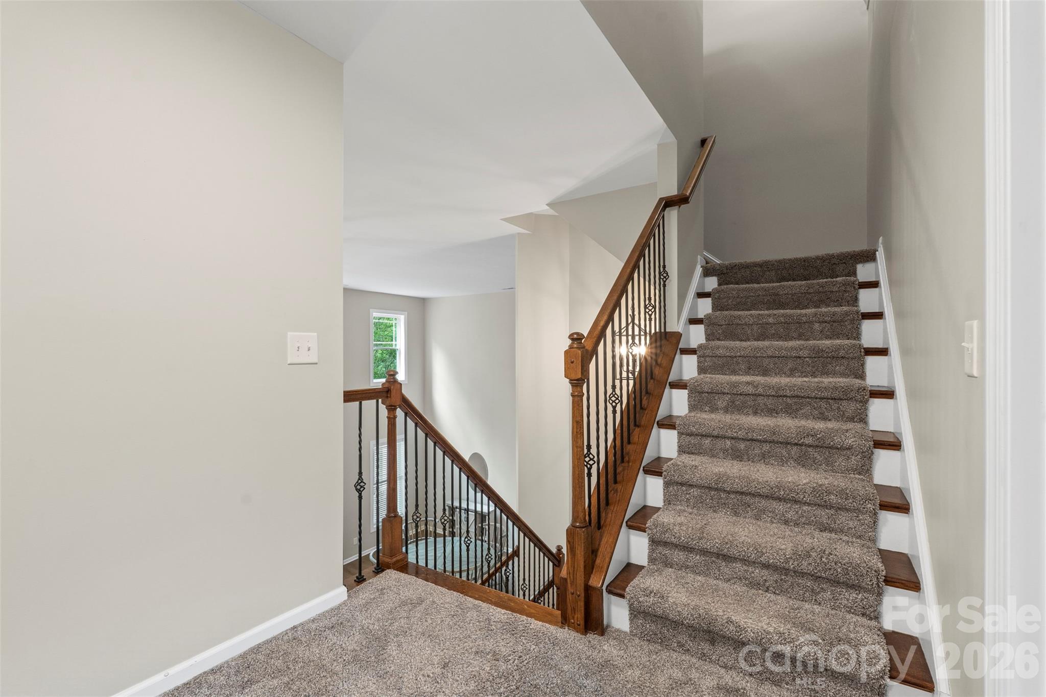 10019 Elizabeth Crest Lane — Charlotte