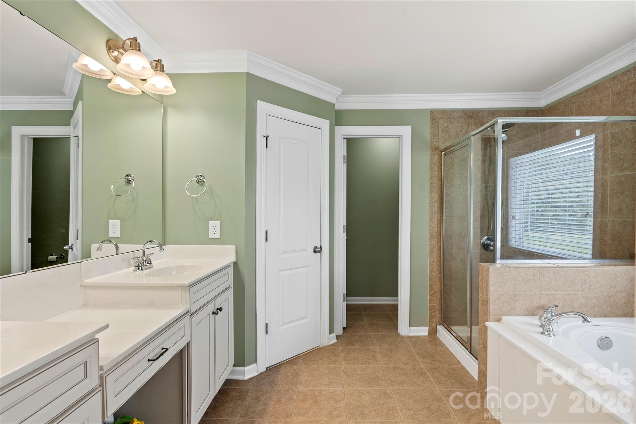 10019 Elizabeth Crest Lane — Charlotte