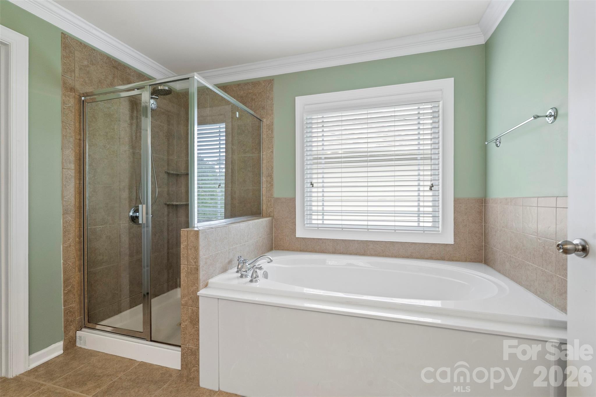 10019 Elizabeth Crest Lane — Charlotte