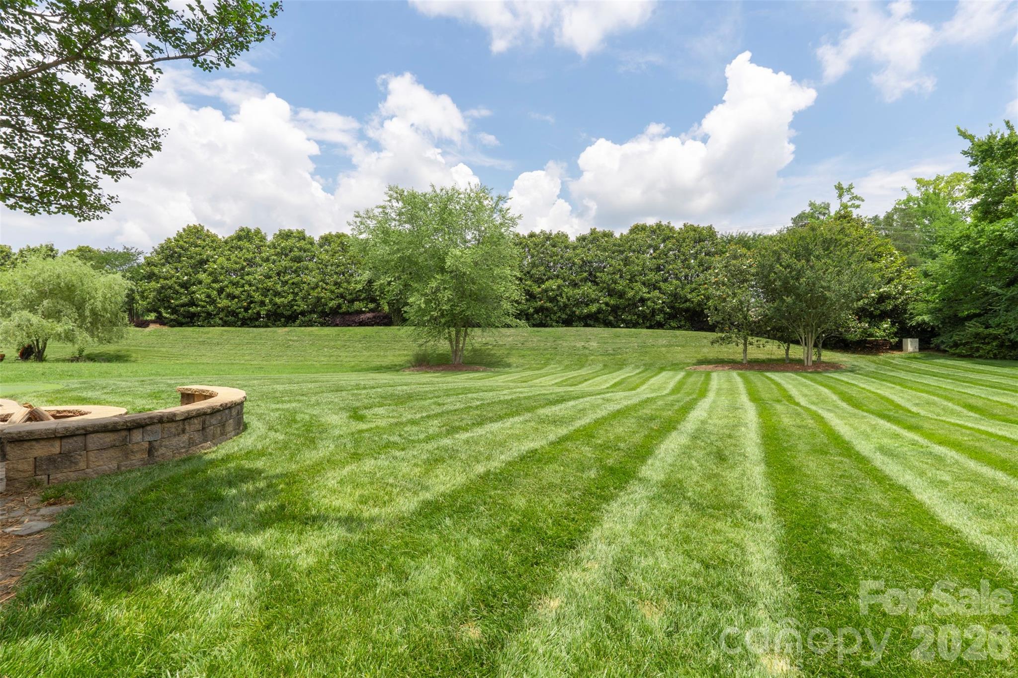 10019 Elizabeth Crest Lane — Charlotte