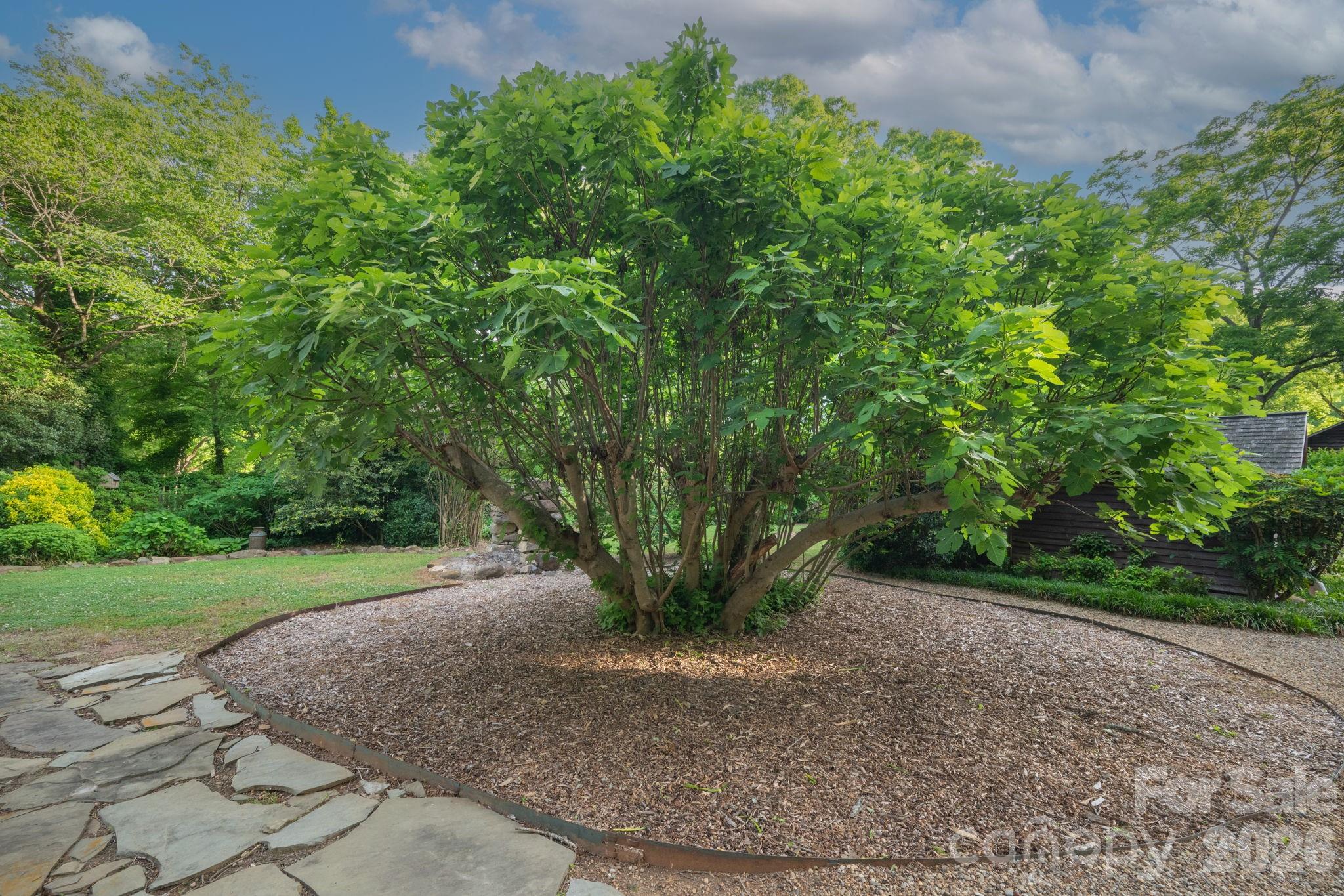 10915 Beatties Ford Road — Huntersville