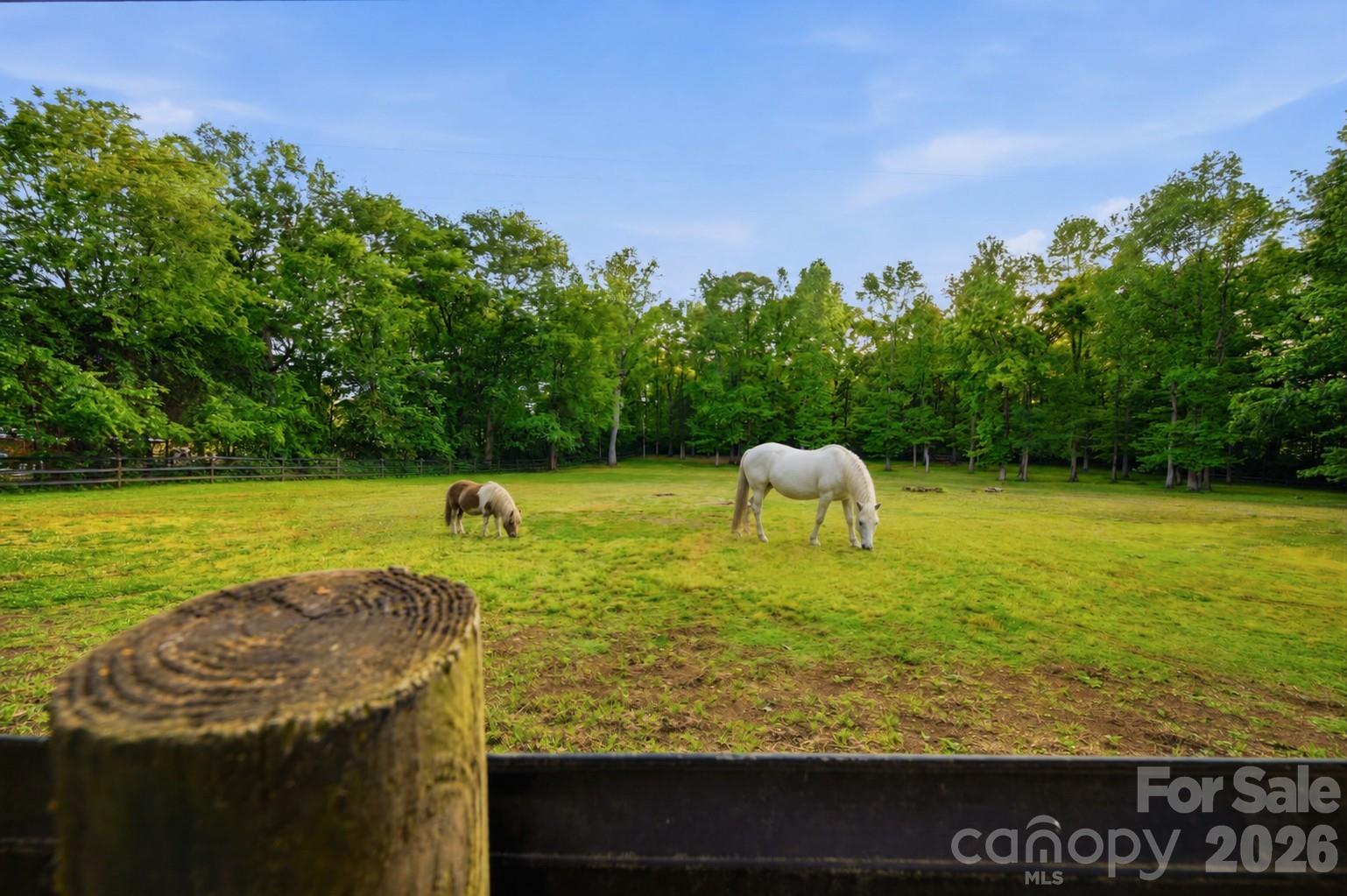 10915 Beatties Ford Road — Huntersville