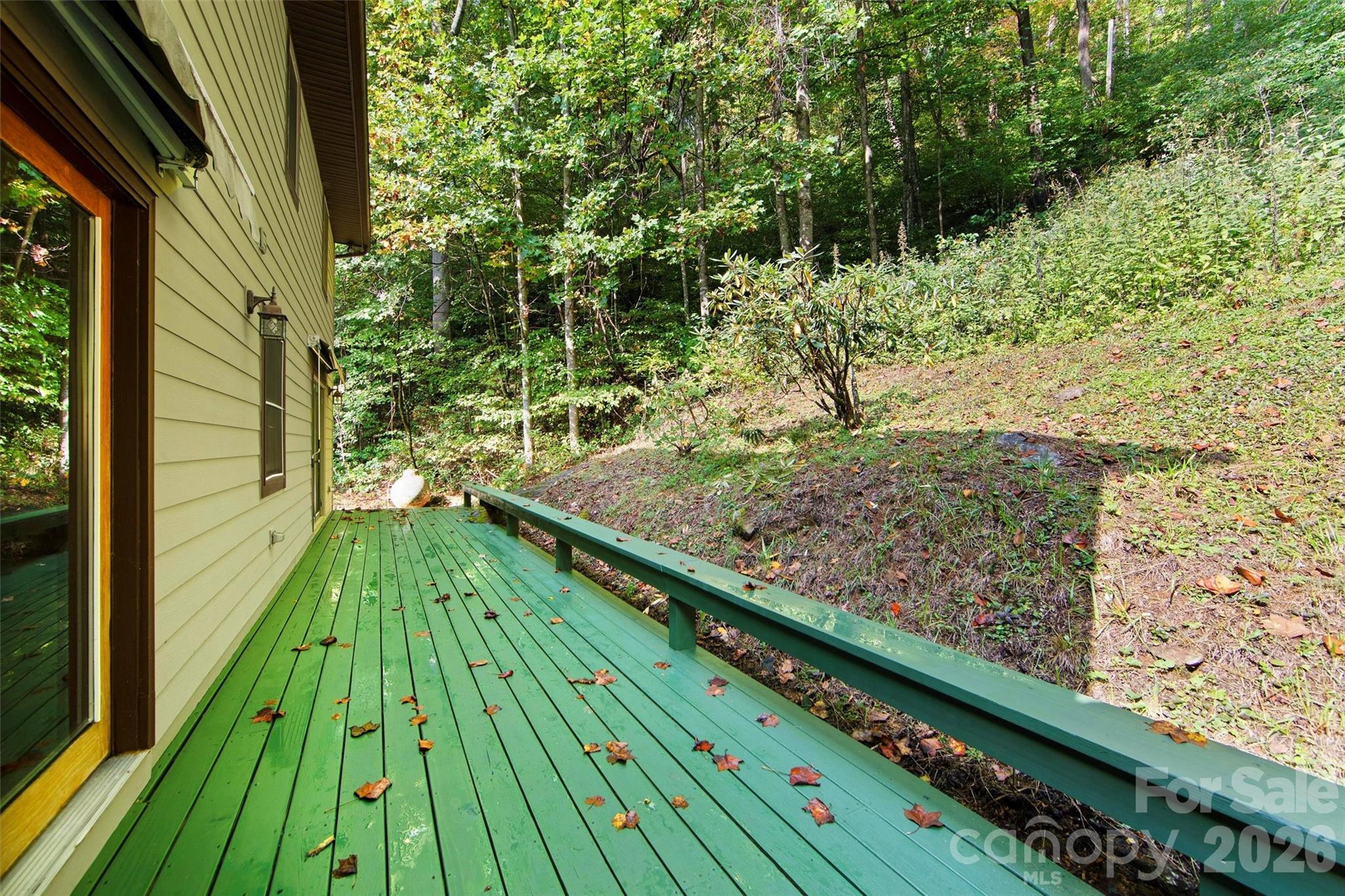 150 Sorghum Drive — Waynesville