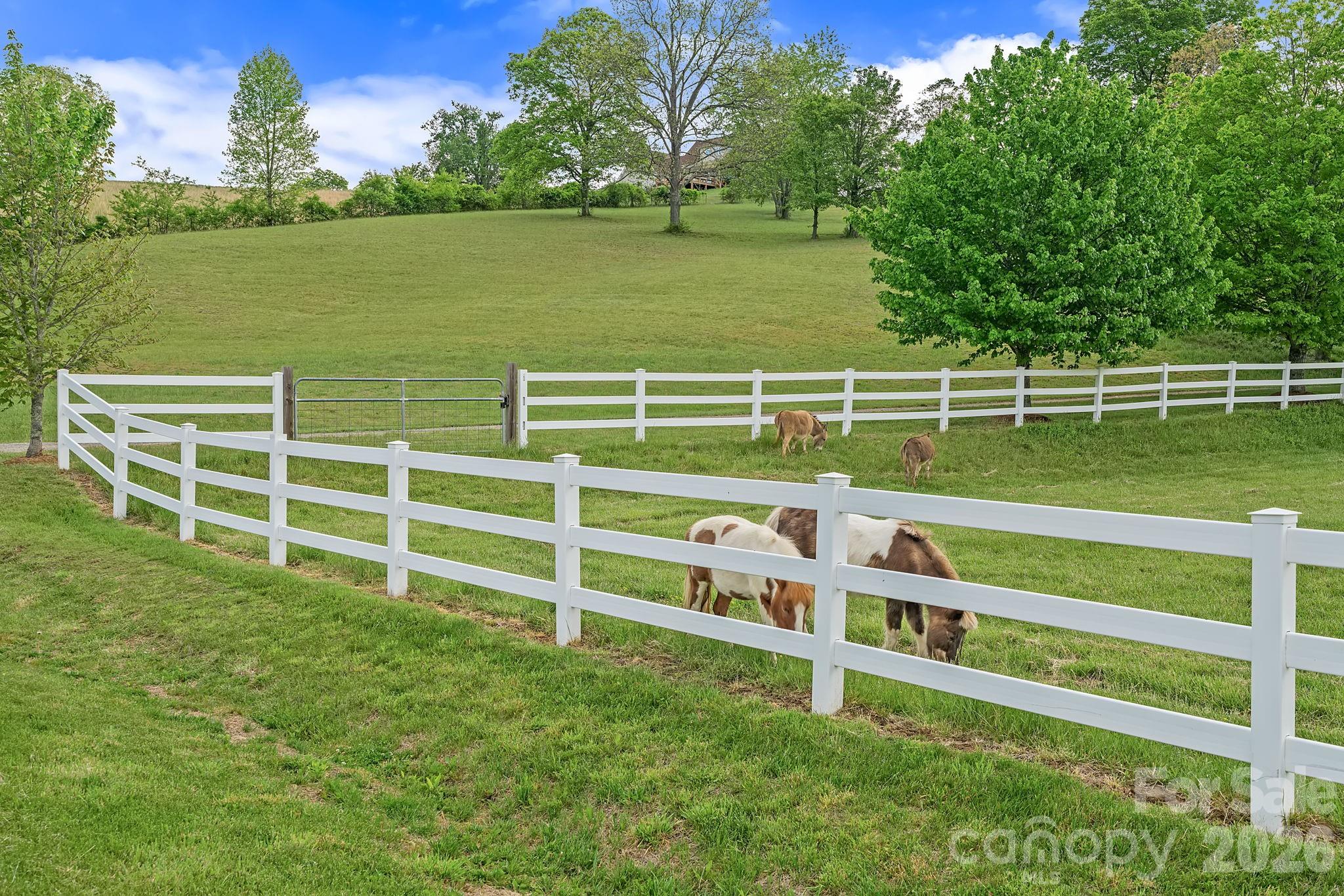 24 Whispering Meadows Drive — Fairview