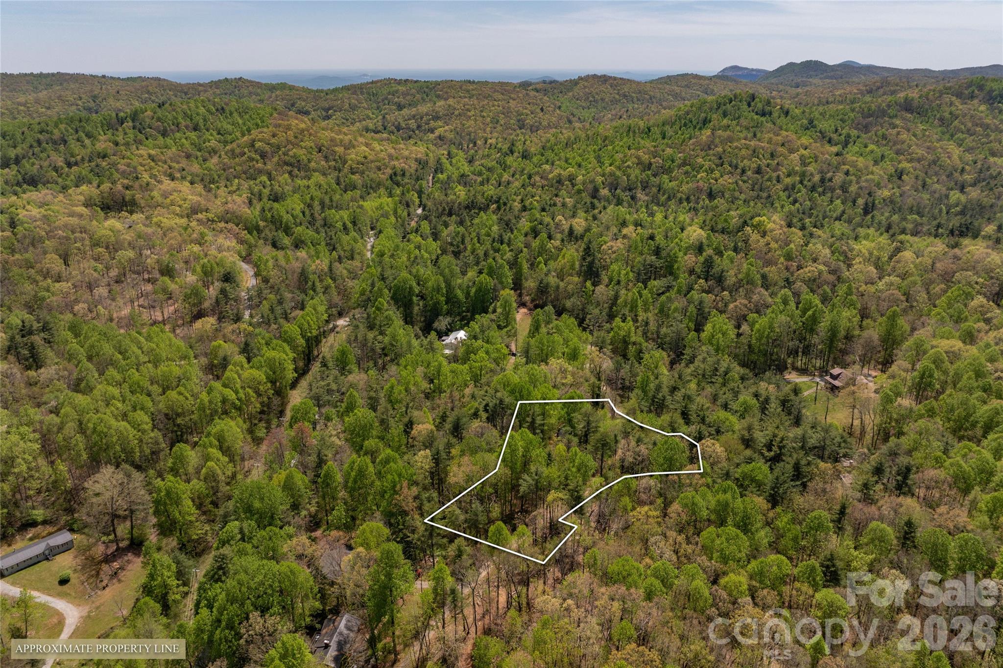 138 Stillwagon Lane — Cedar Mountain