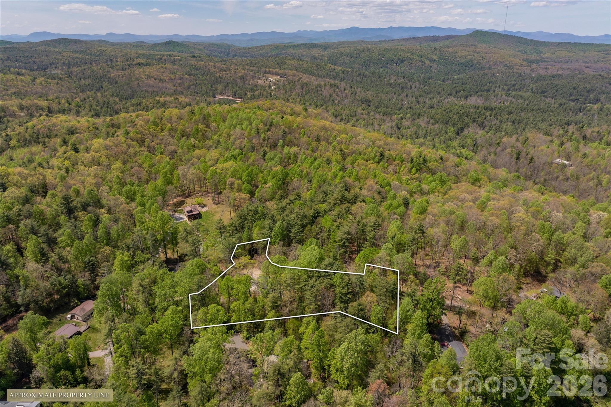 138 Stillwagon Lane — Cedar Mountain