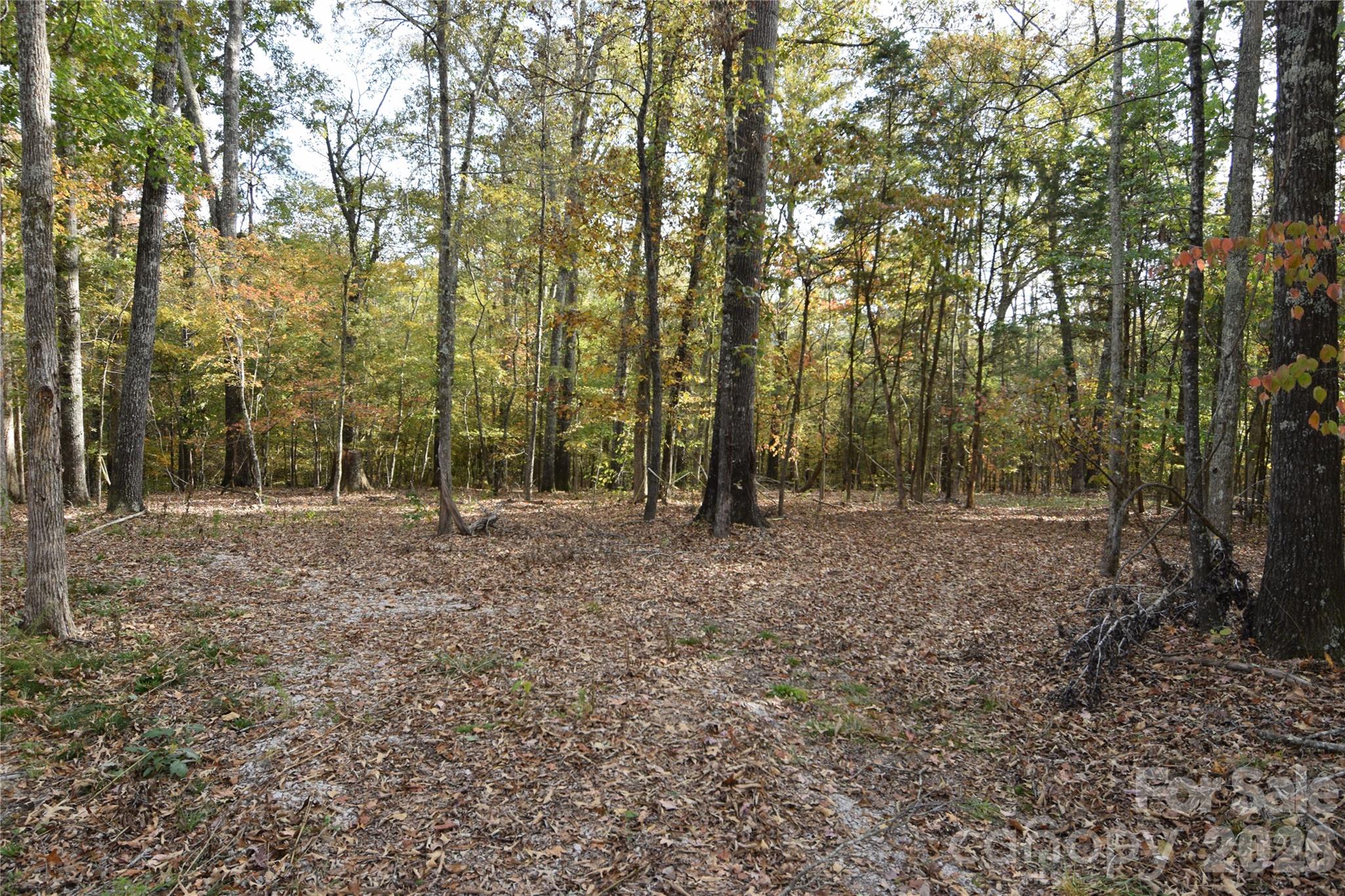 3007 Paraham Road S — York