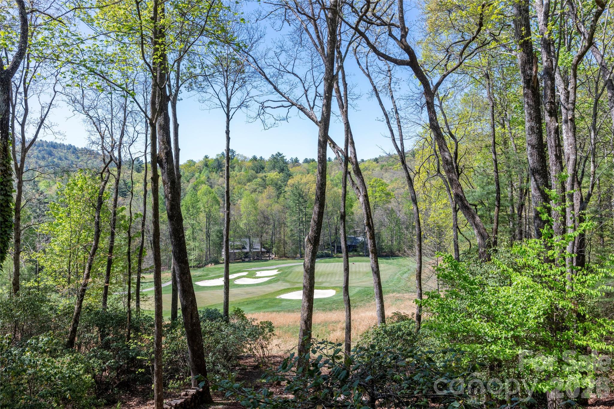 516 Cherokee Trace — Lake Toxaway