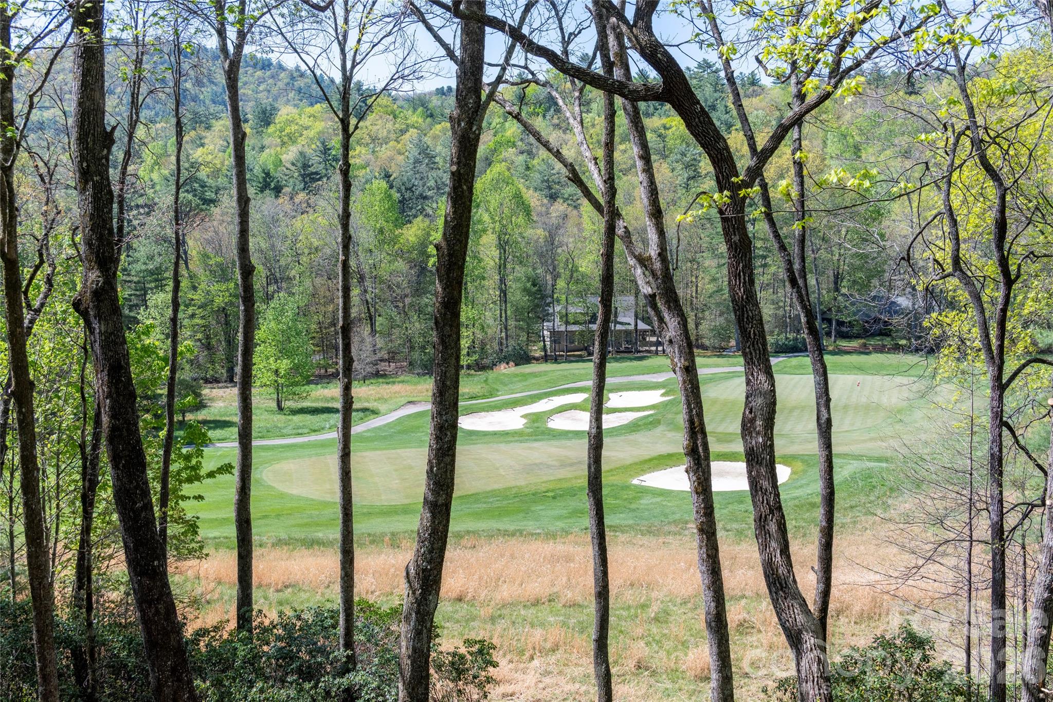 516 Cherokee Trace — Lake Toxaway