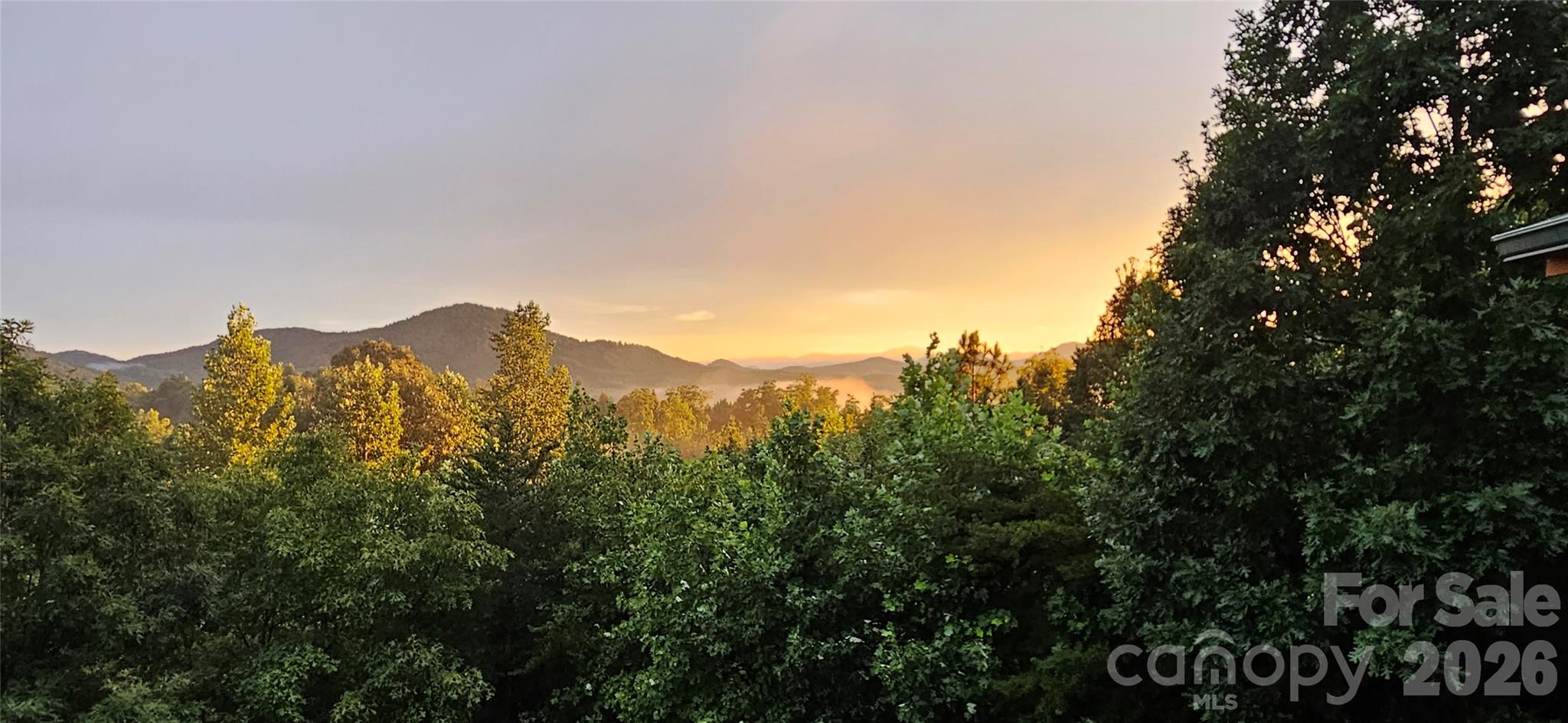 53 Osprey Lane — Nebo