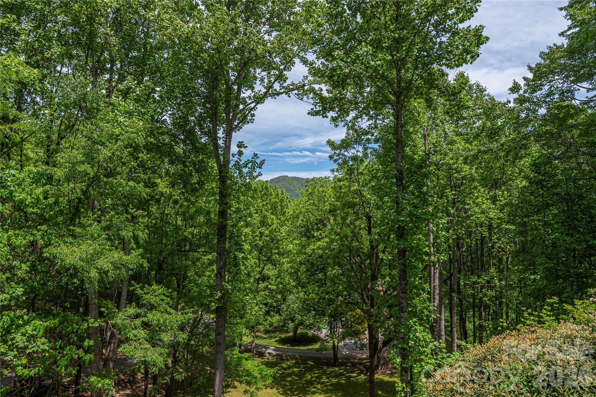 1551 Walnut Creek Road — Waynesville