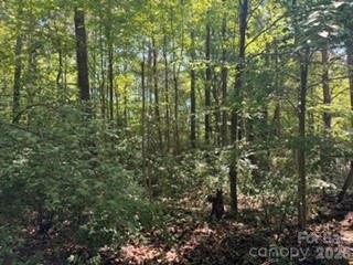12538 Sam Furr Road — Huntersville