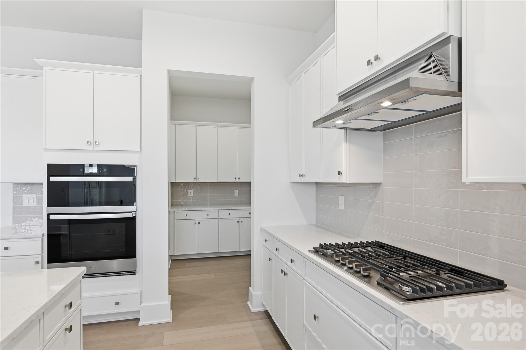 3671 Blue Pine Drive — Indian Land