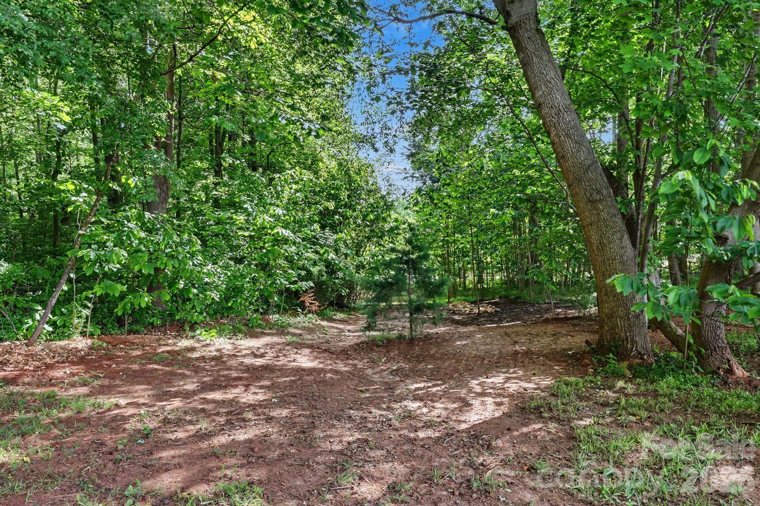 4175 Brandy Creek Court — Clover