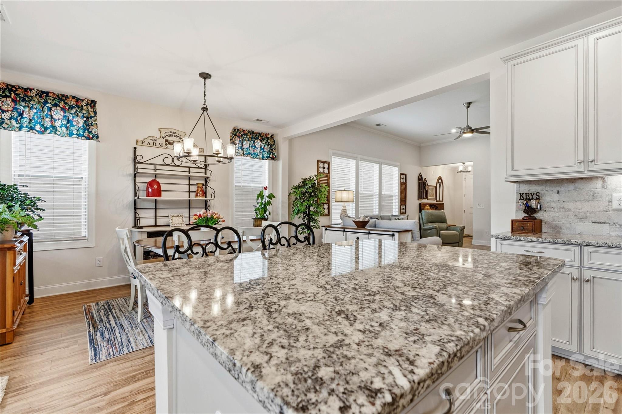 12520 Old Iron Lane — Charlotte