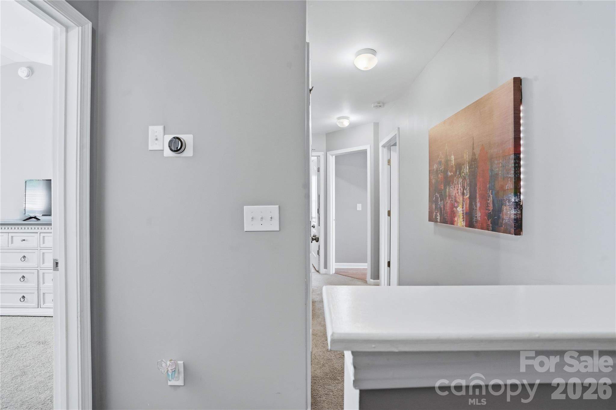 2315 Old Goose Lane — Charlotte