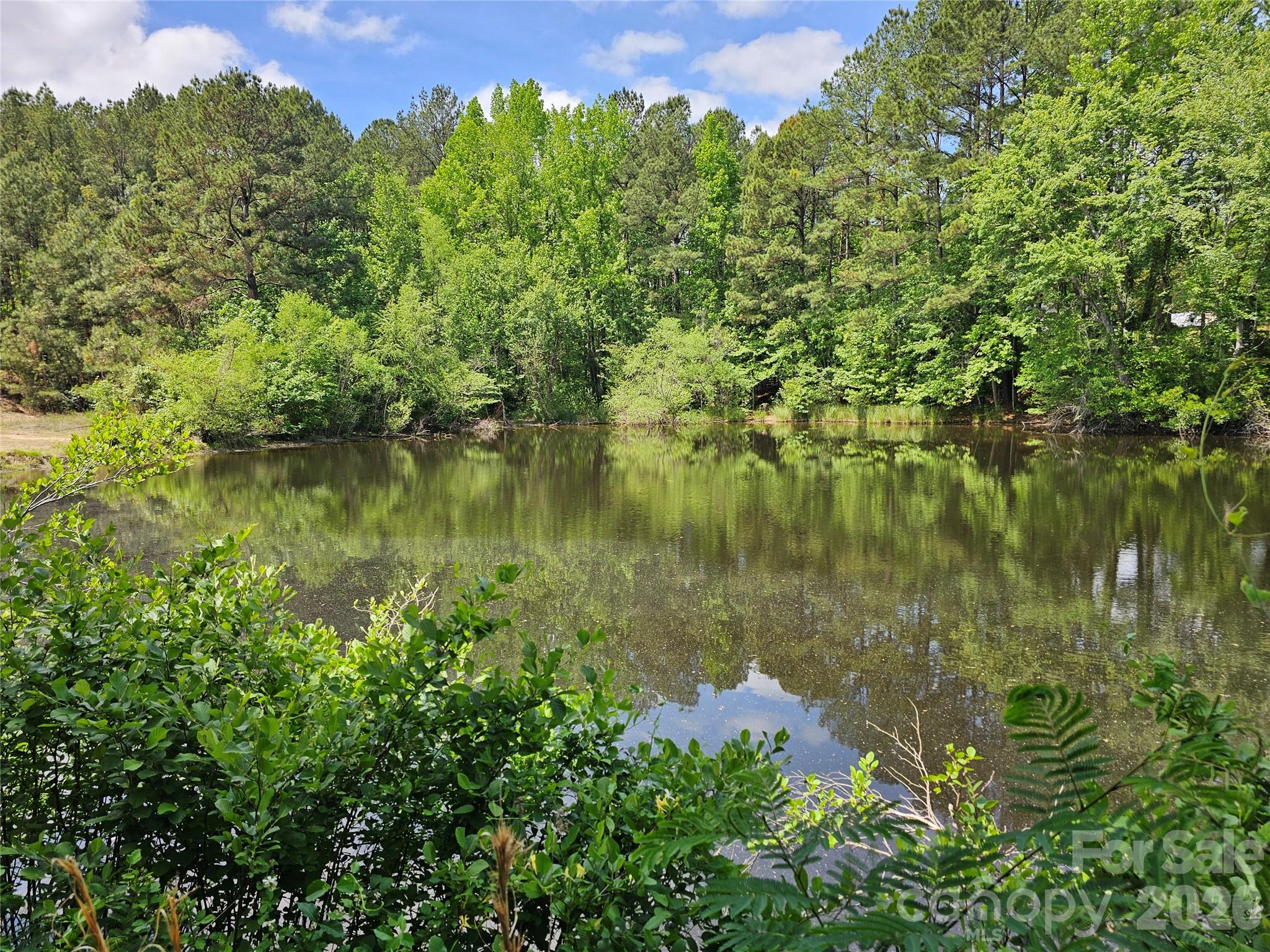 5692 Brooklyn Road — Great Falls