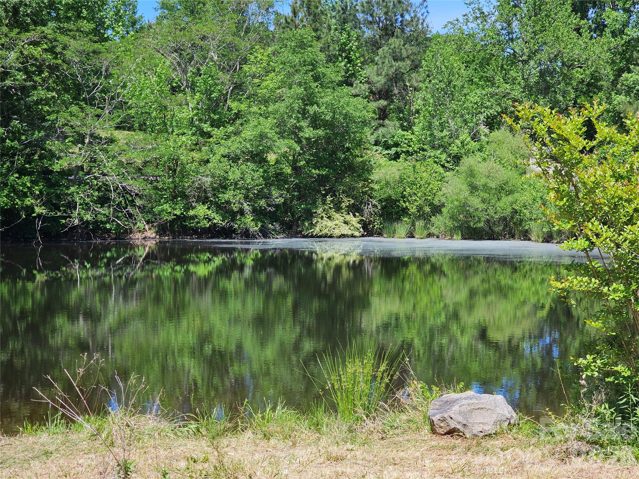 5692 Brooklyn Road — Great Falls